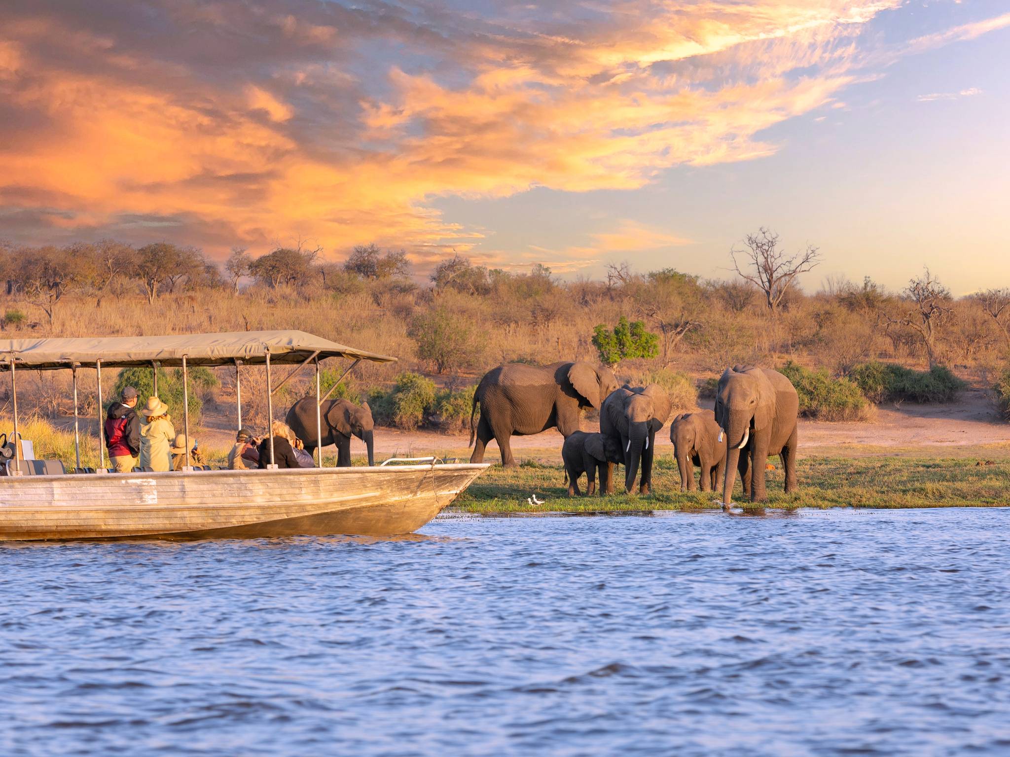 Tour Botswana, Caprivi e Victoria Falls cover