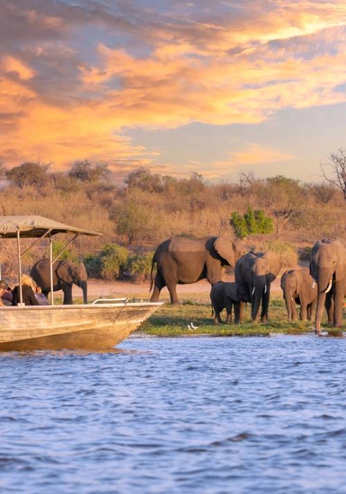 parco nazionale chobe