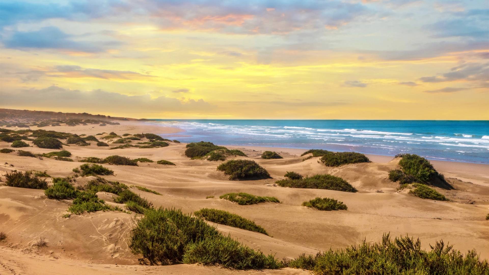 beach in Agadir