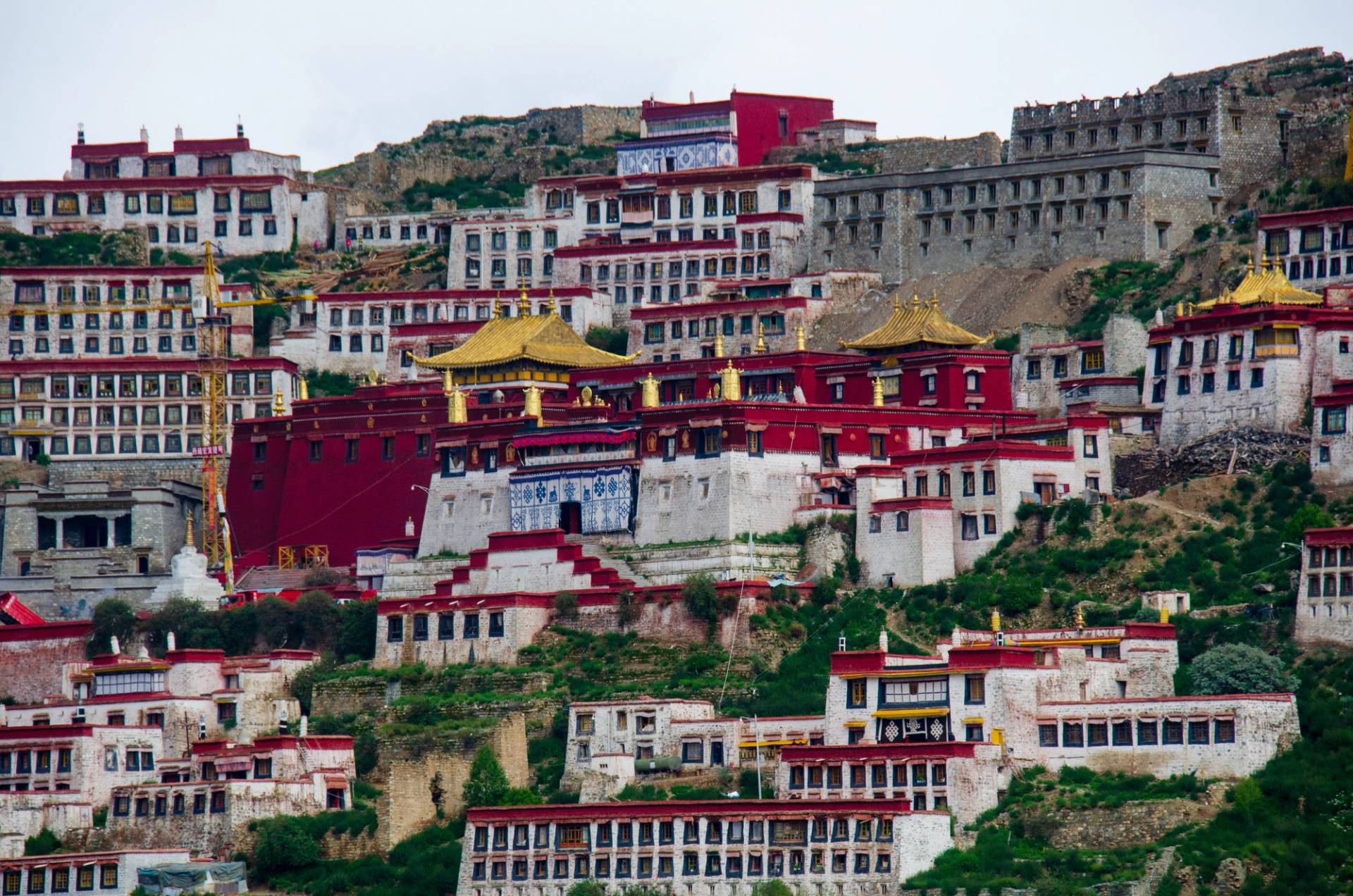 lhasa