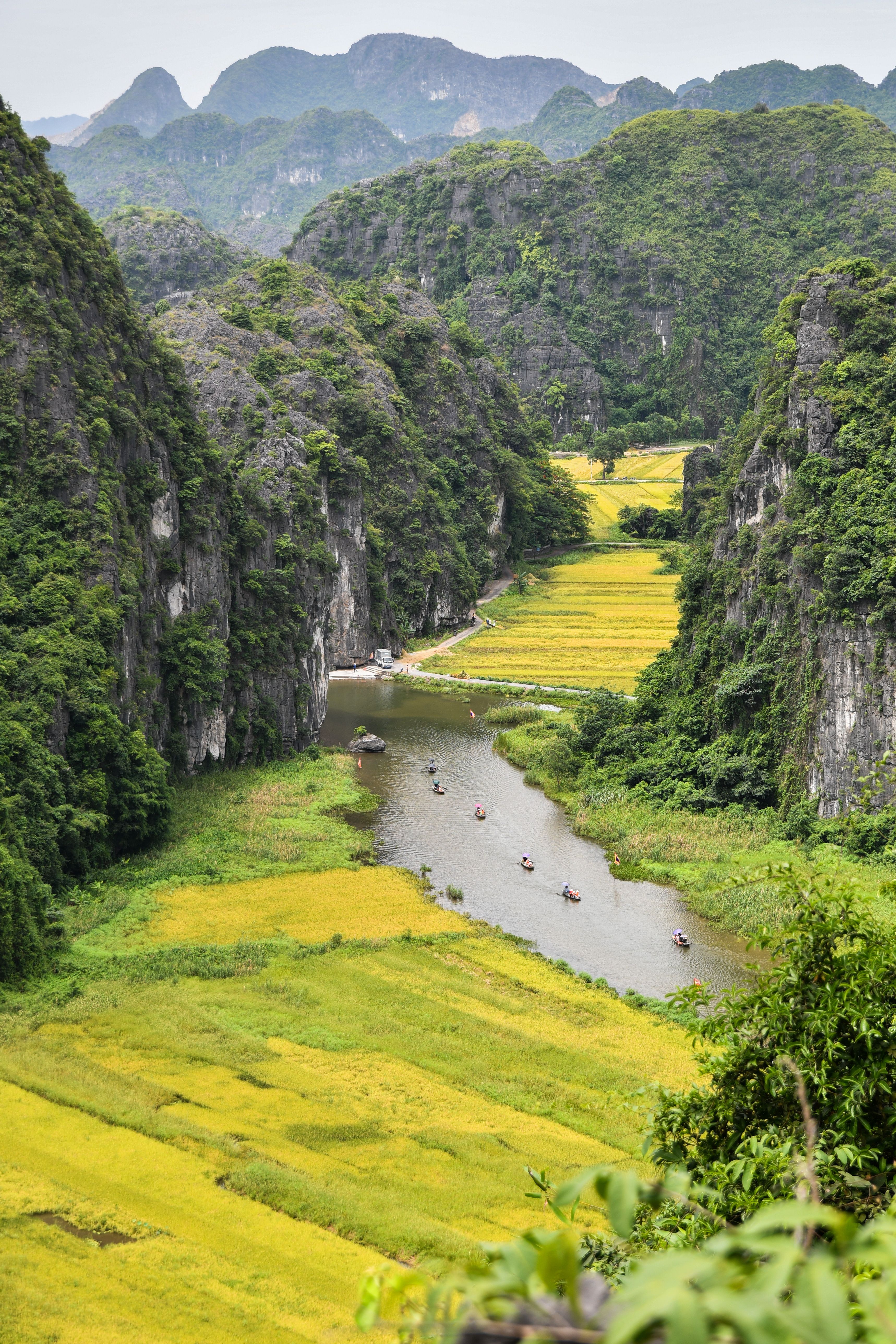 fields and mountains in Vietnam