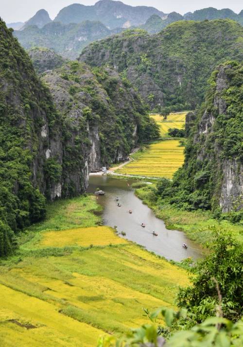 fields and mountains in Vietnam