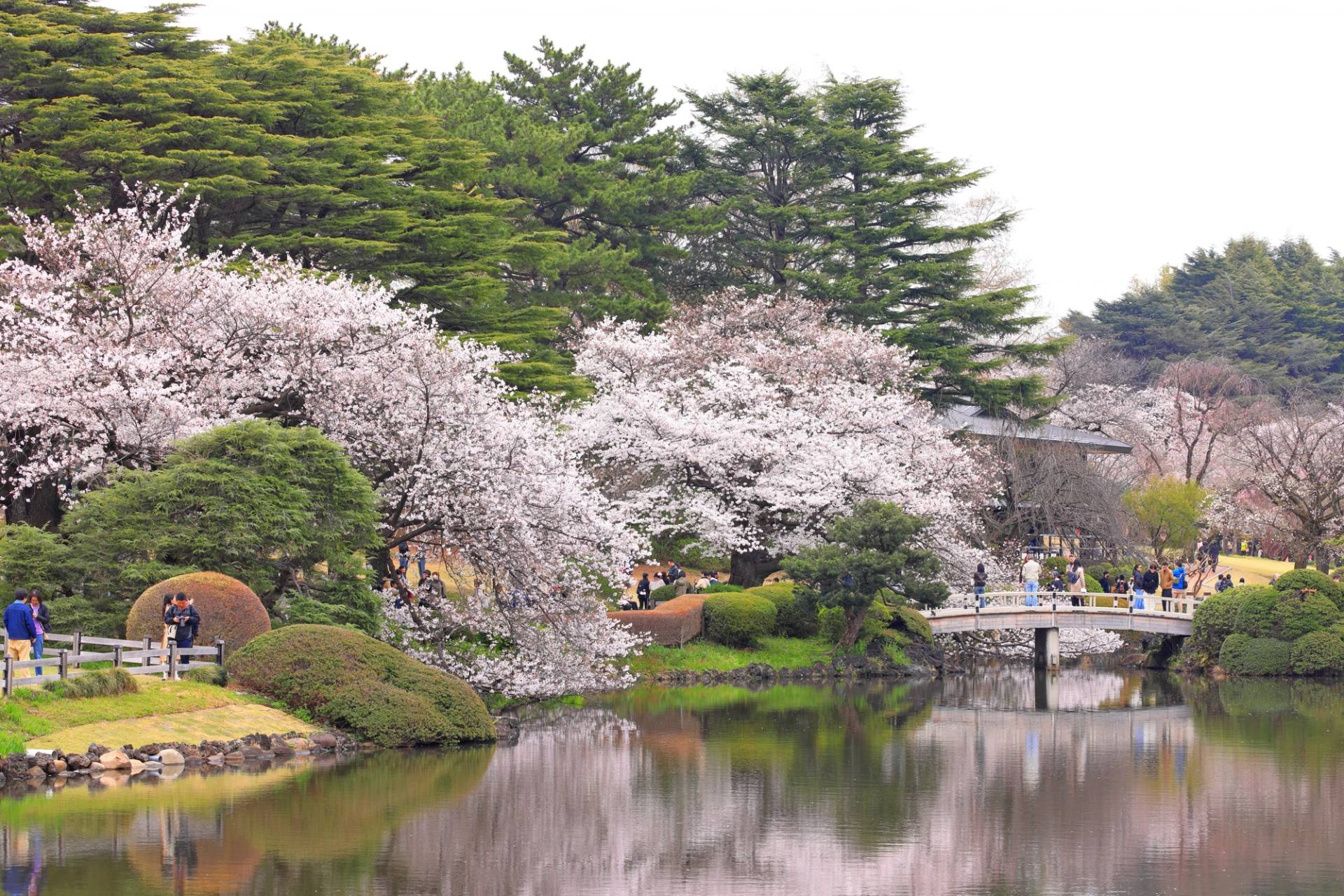 shinjuku gyoen tokyo