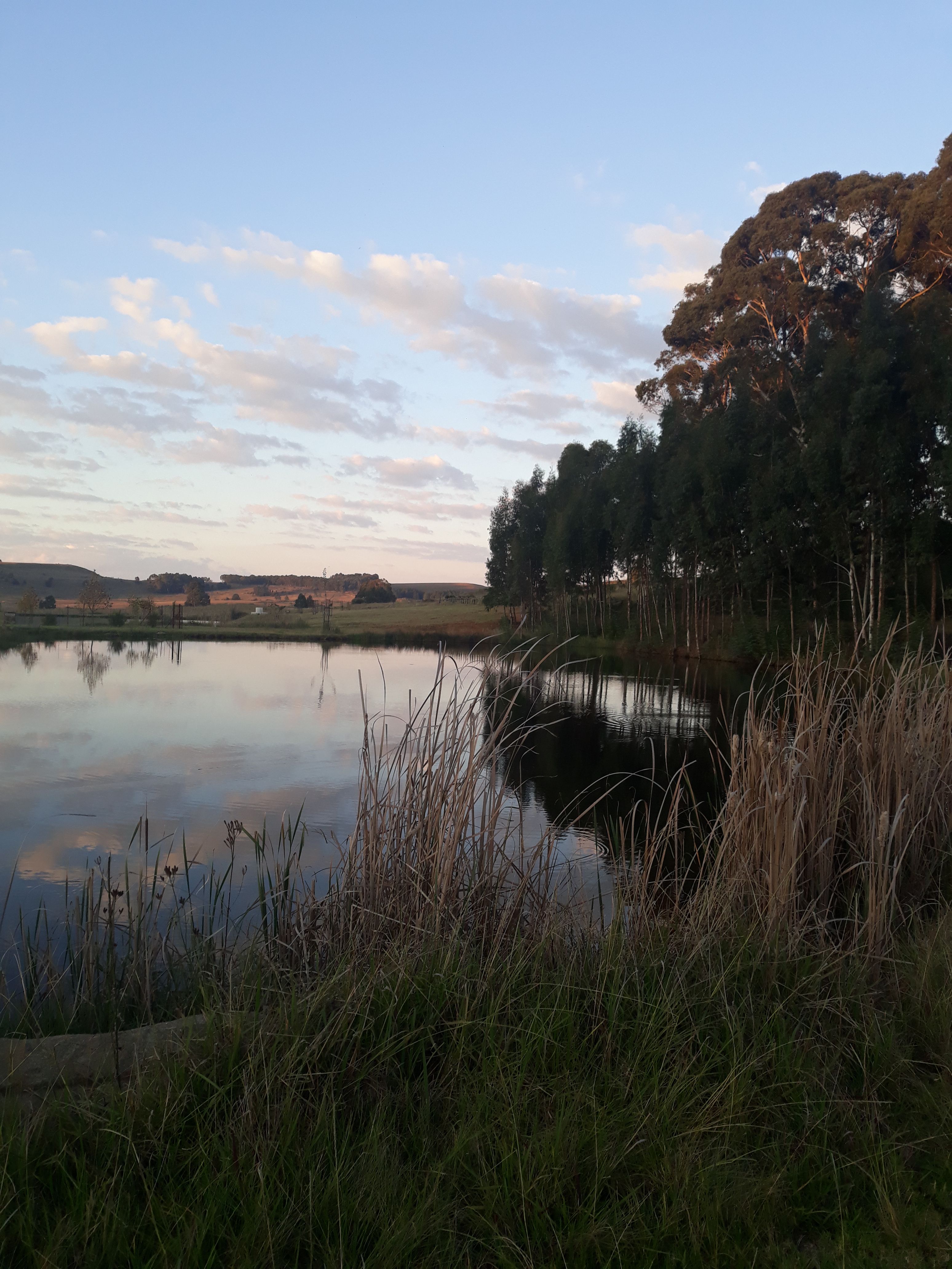 dullstroom sudafrica