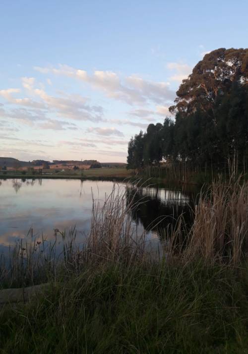 dullstroom sudafrica