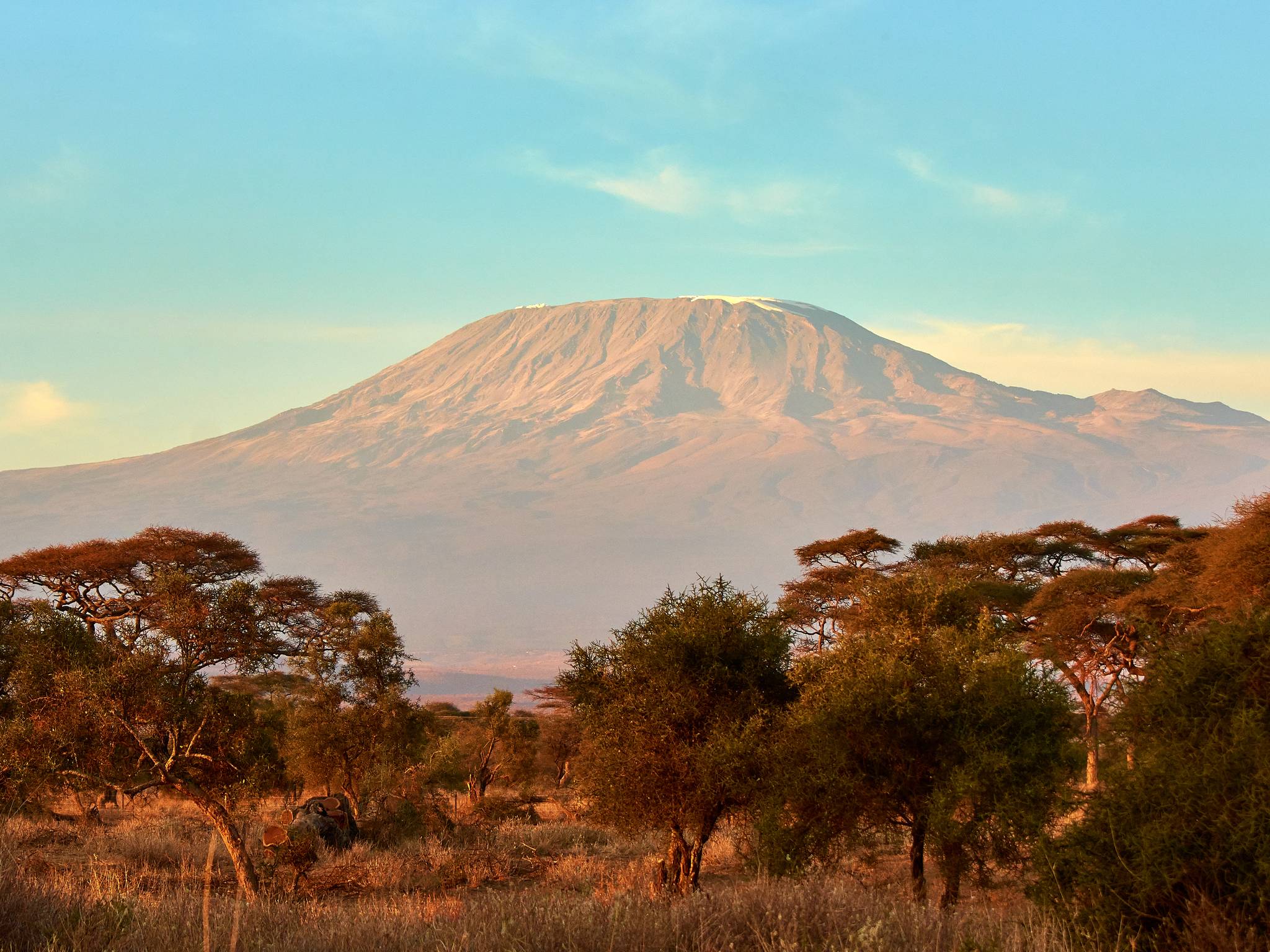 Alla scoperta del Kilimanjaro cover