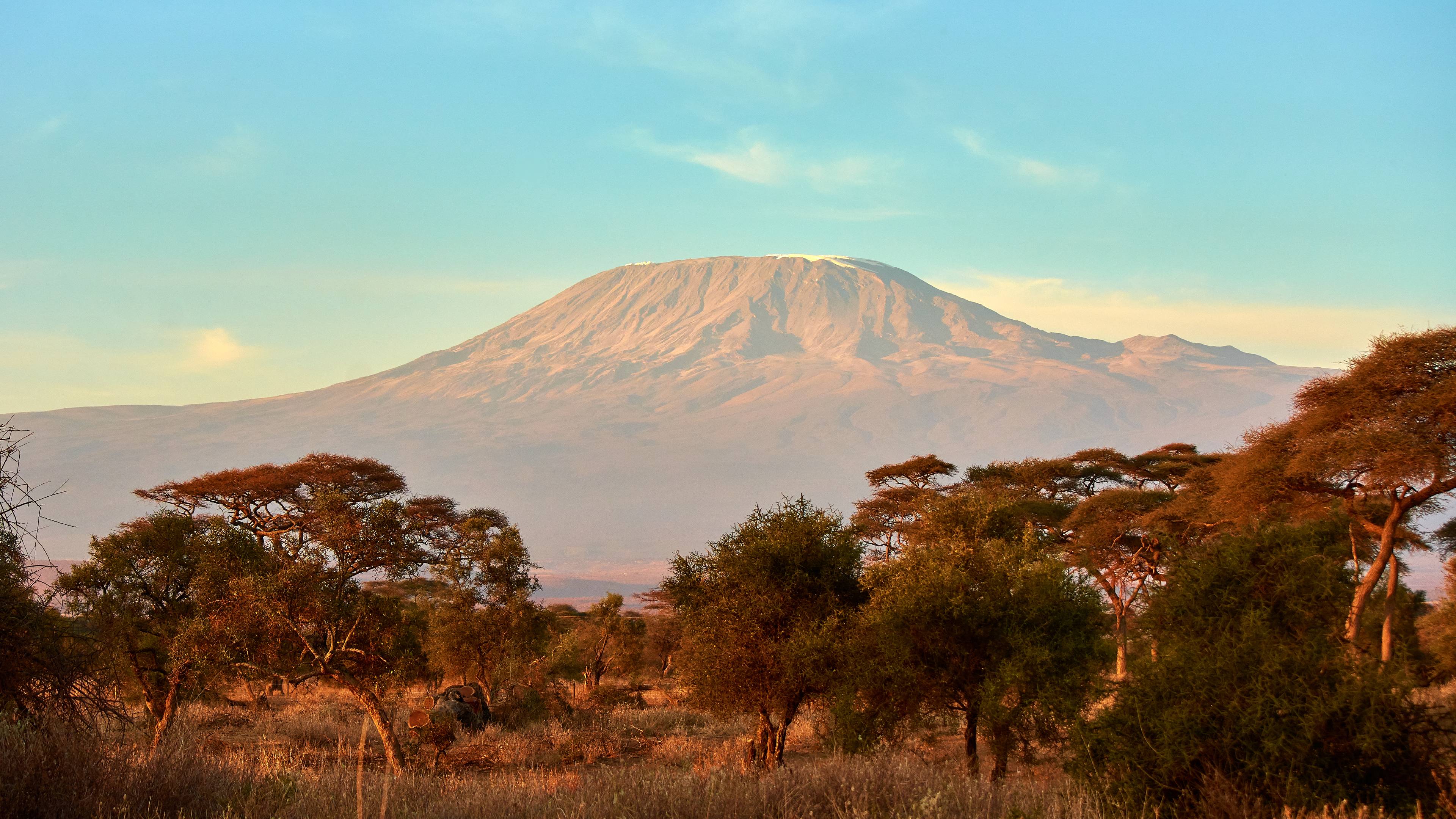 Alla scoperta del Kilimanjaro cover