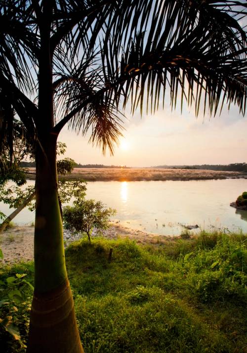 parco nazionale chitwan