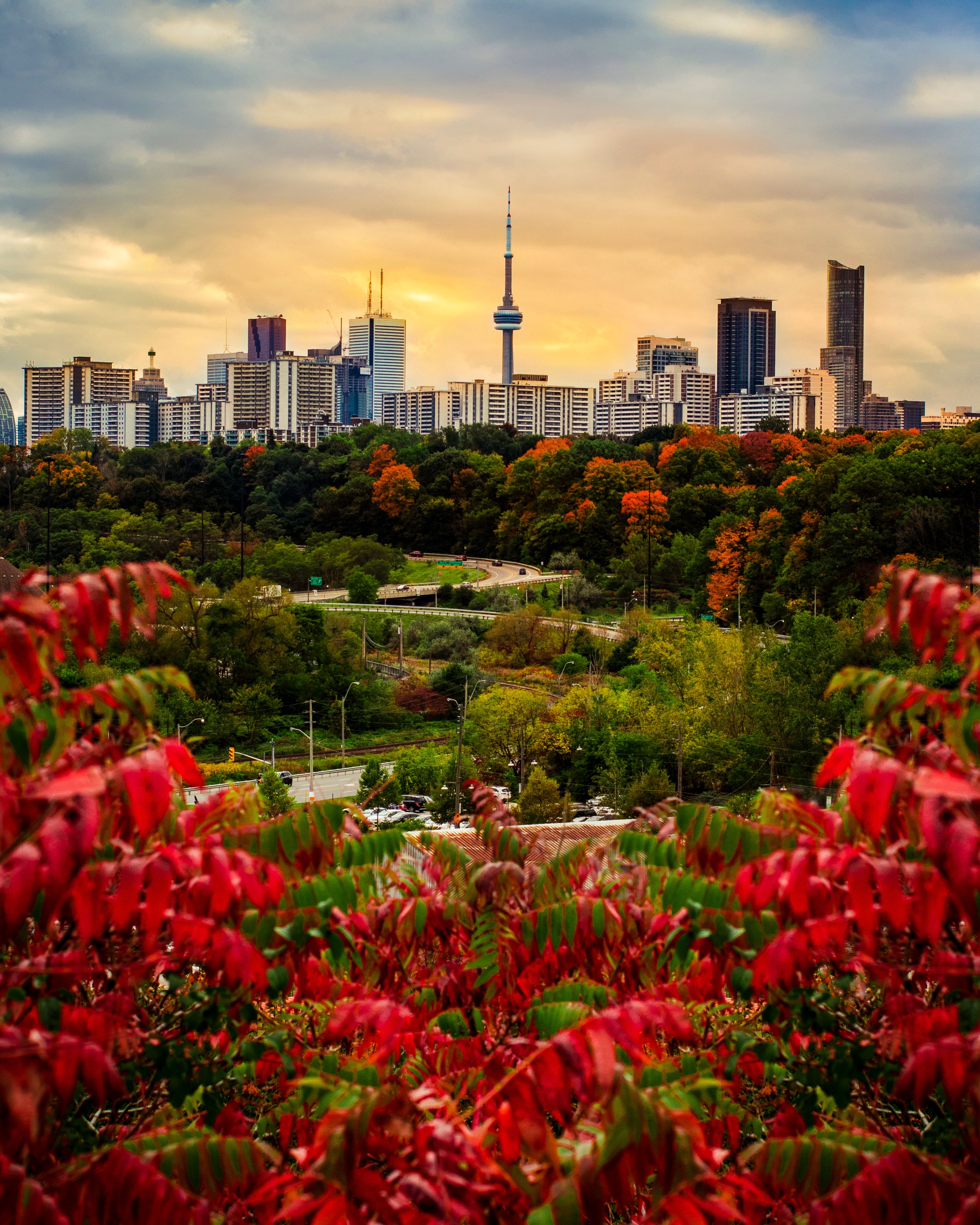 citta canadese in autunno al tramonto