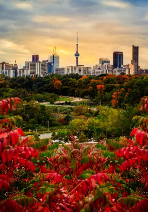 citta canadese in autunno al tramonto