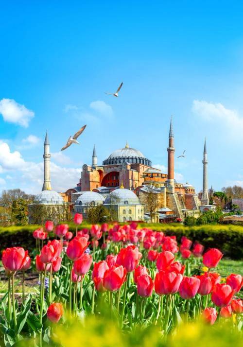 moschea di istabul con fiori