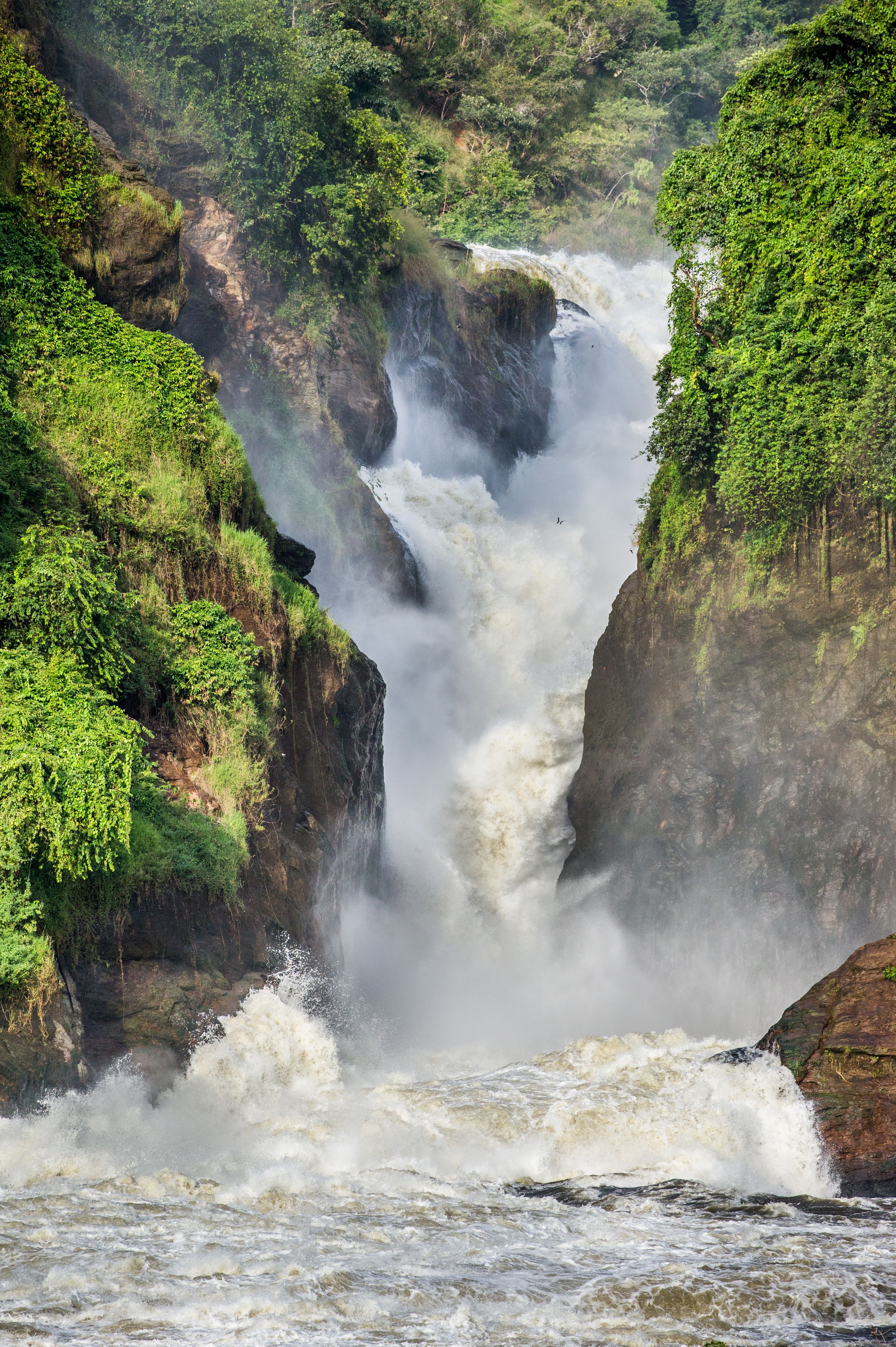 murchison falls