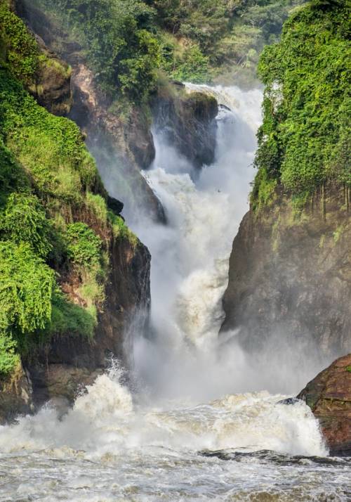 murchison falls