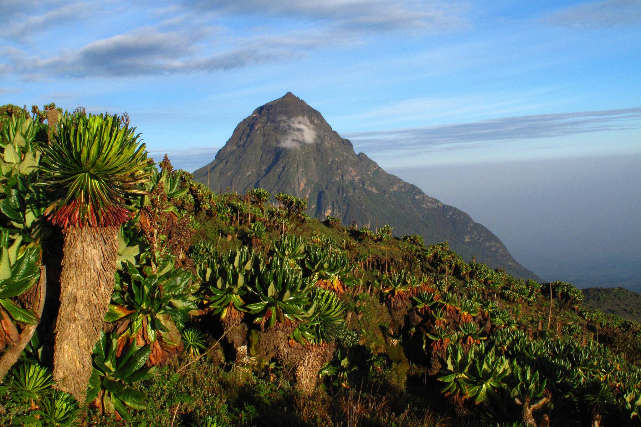 volcano park rwanda