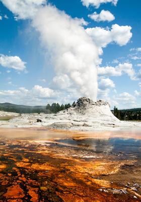 geyser parco di yellowstone