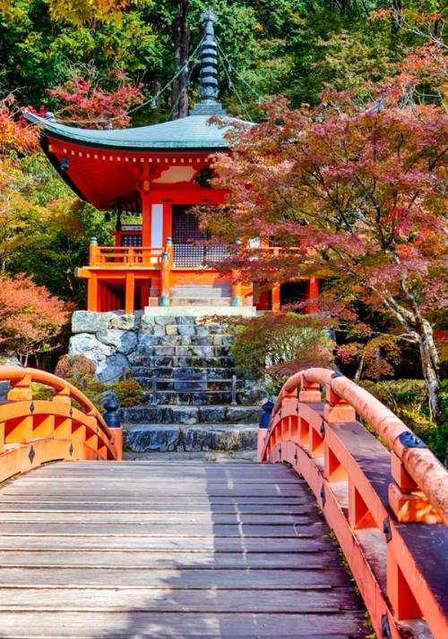 tempio kyoto