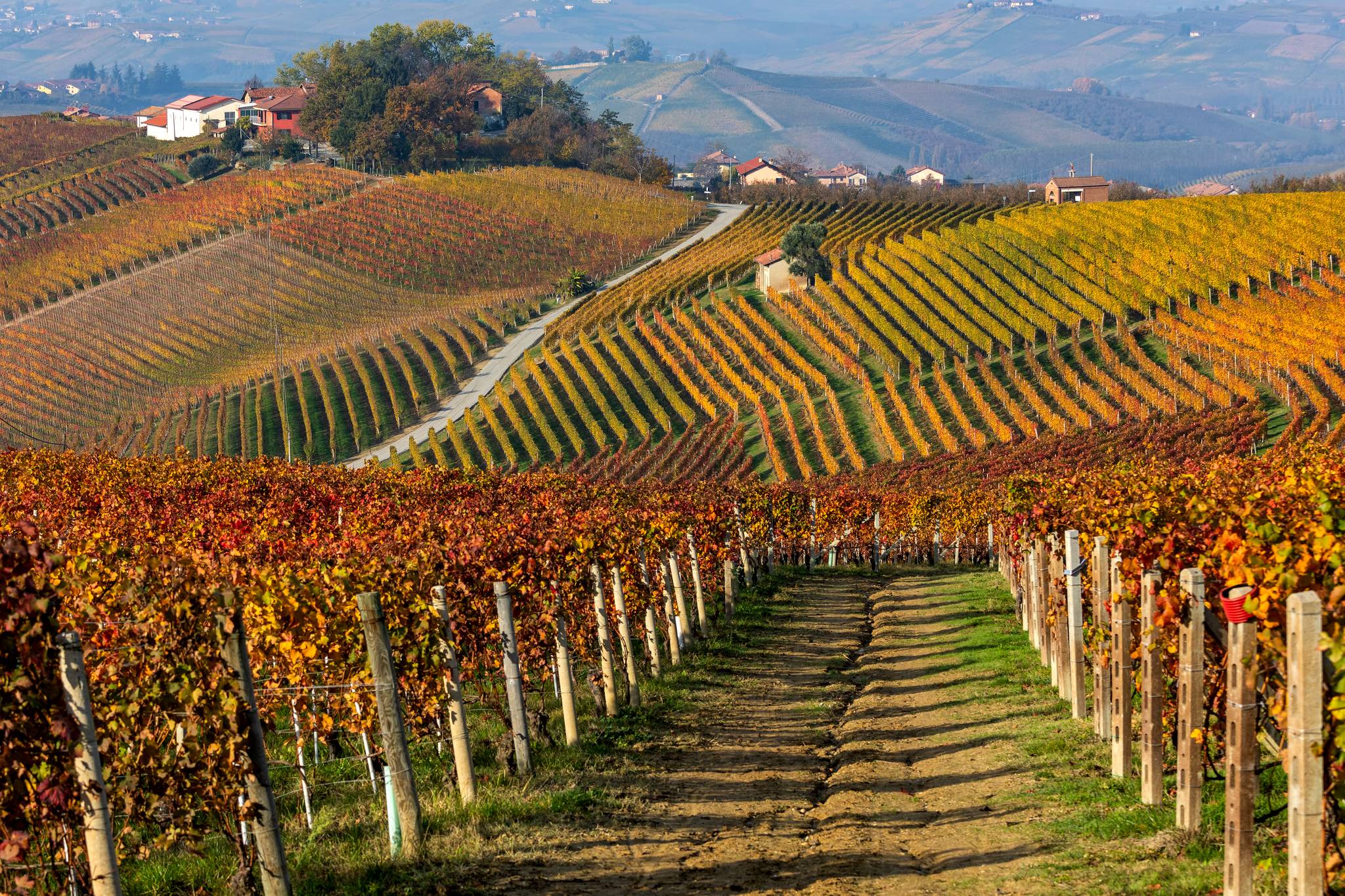 panorama vigne langhe