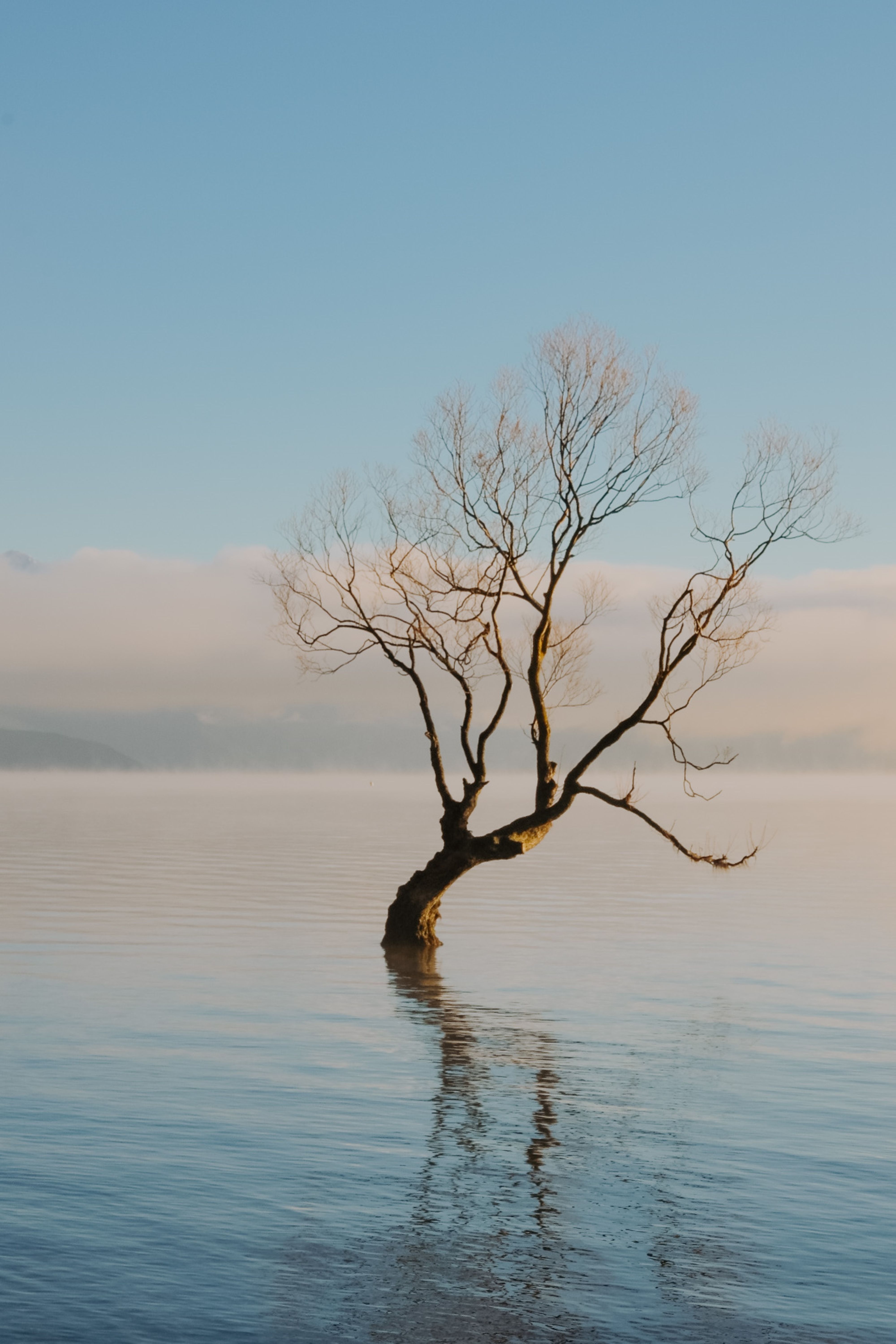 wanaka