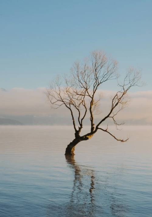 wanaka