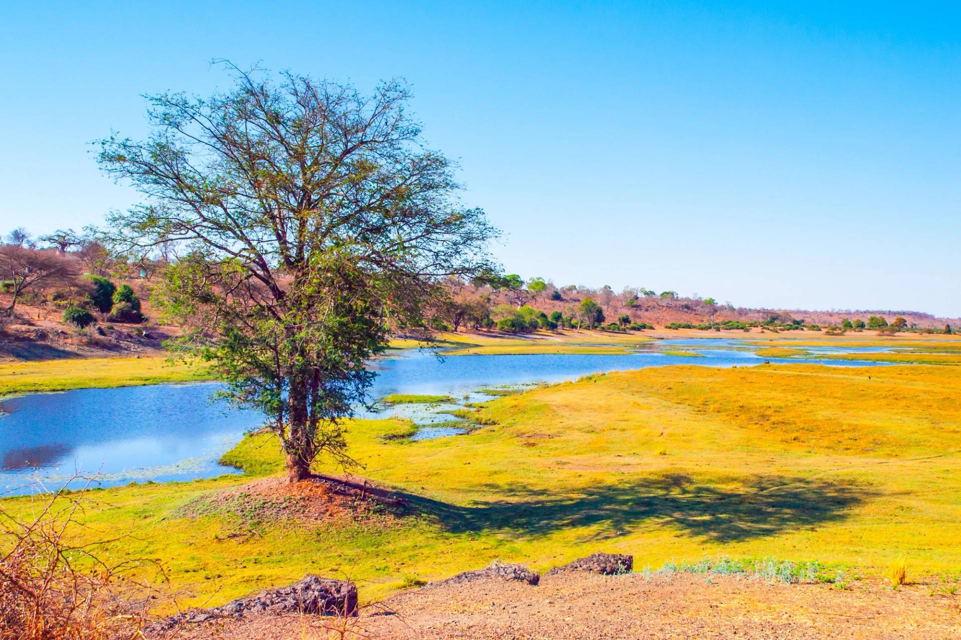 Caprivi Strip river