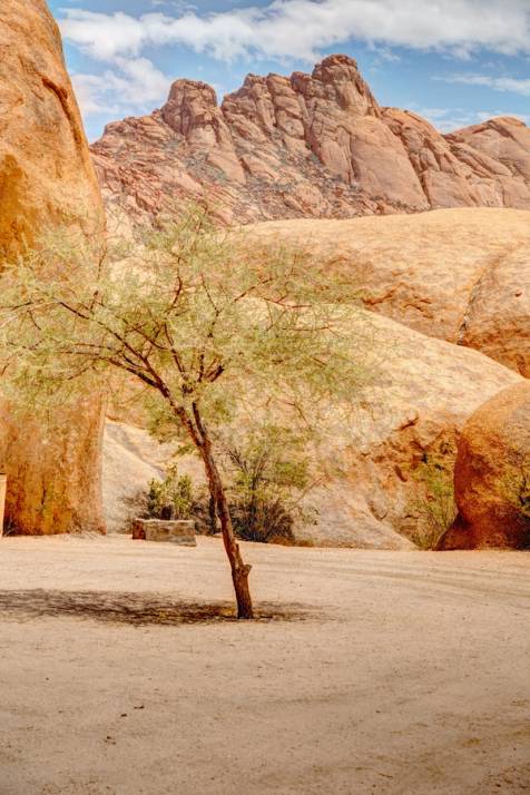 paesaggio desertico con montagne rocciose