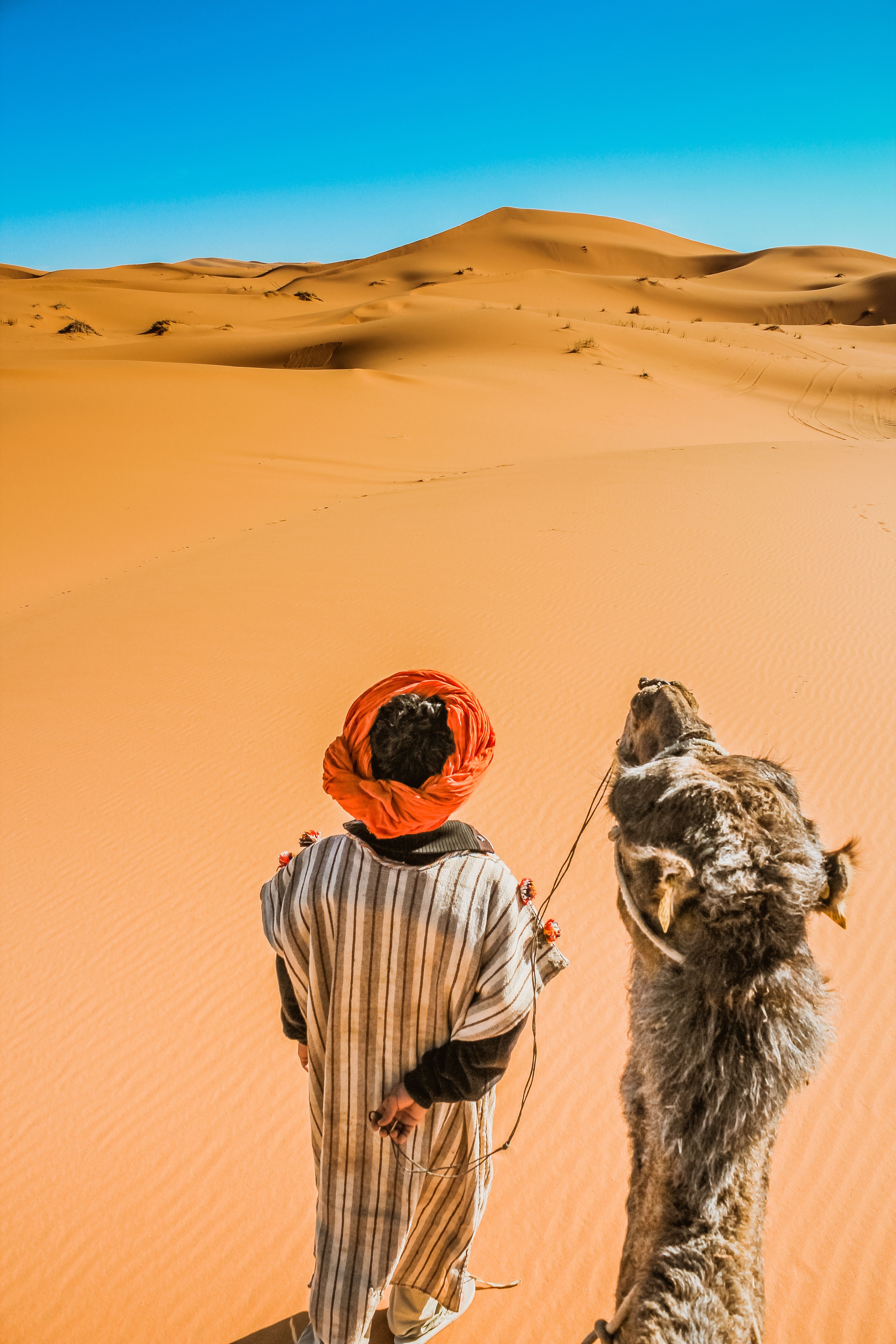 escursione cammello deserto dubai