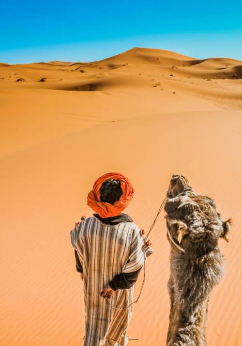 escursione cammello deserto dubai