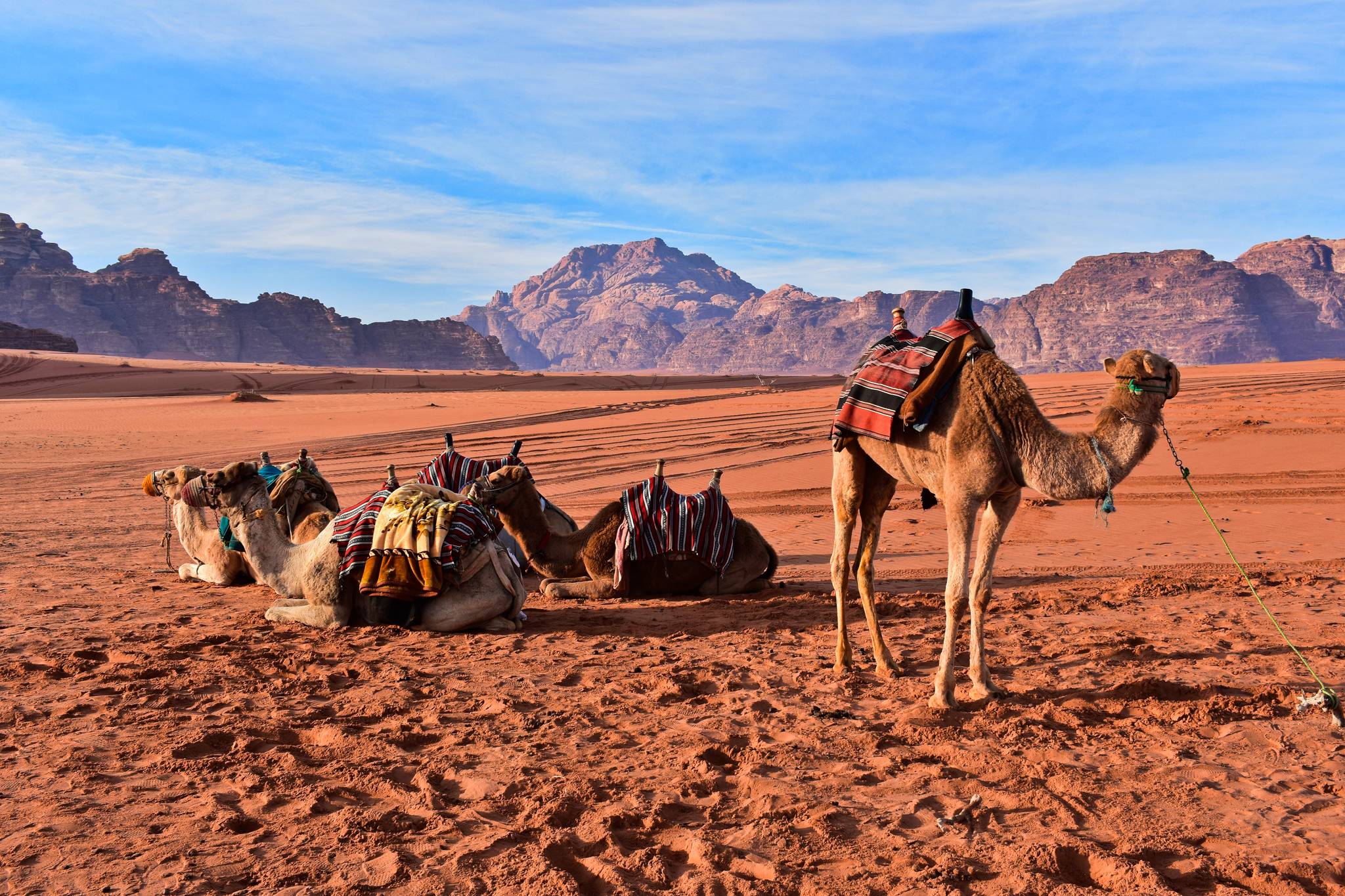 wadi rum