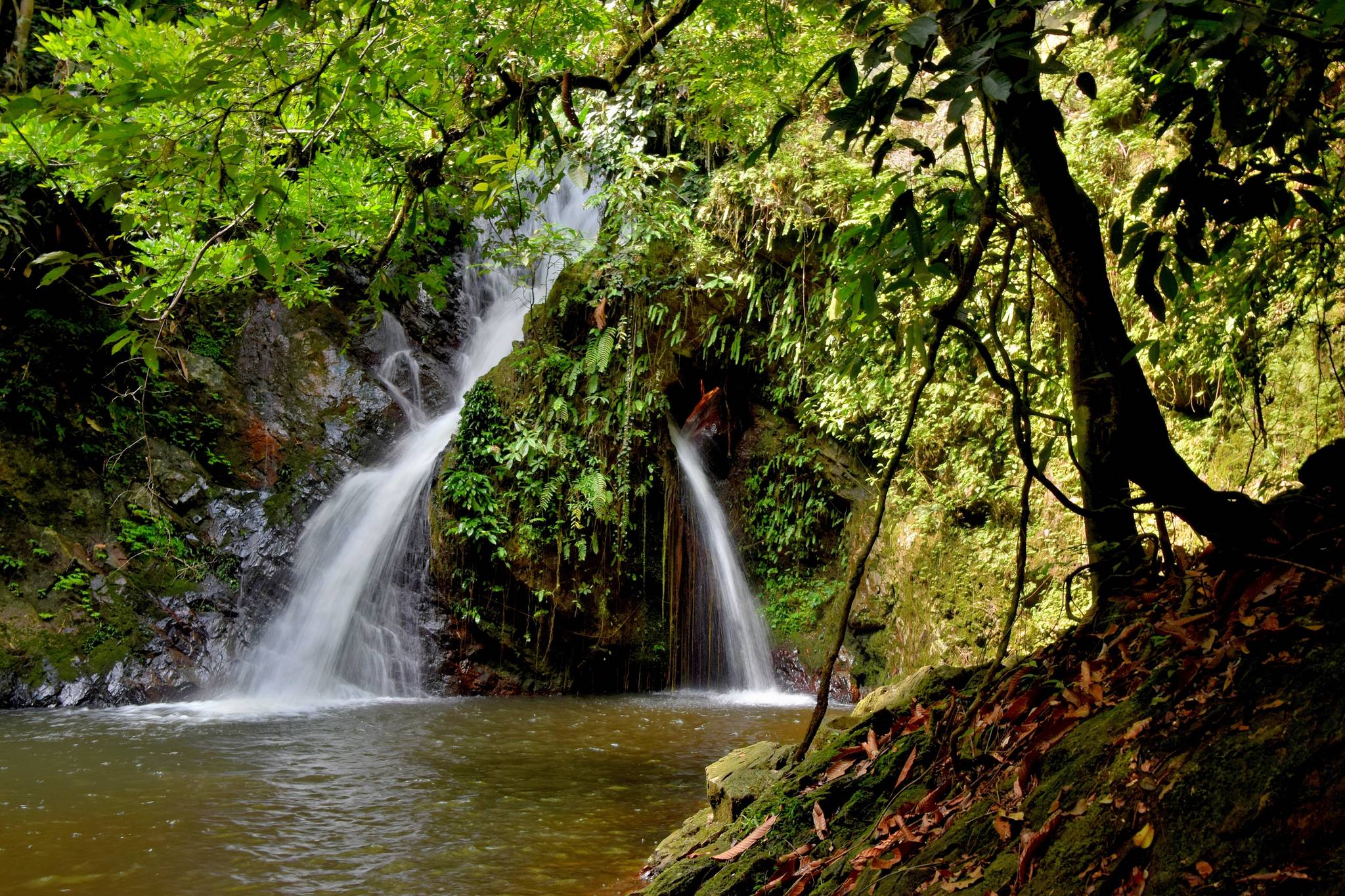 belum national park