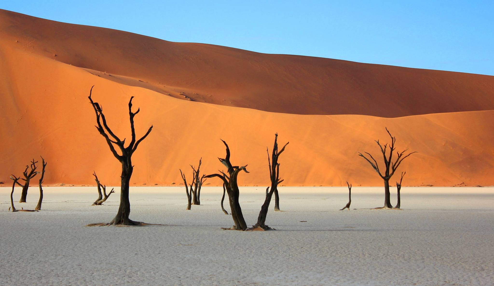 deserto del namib