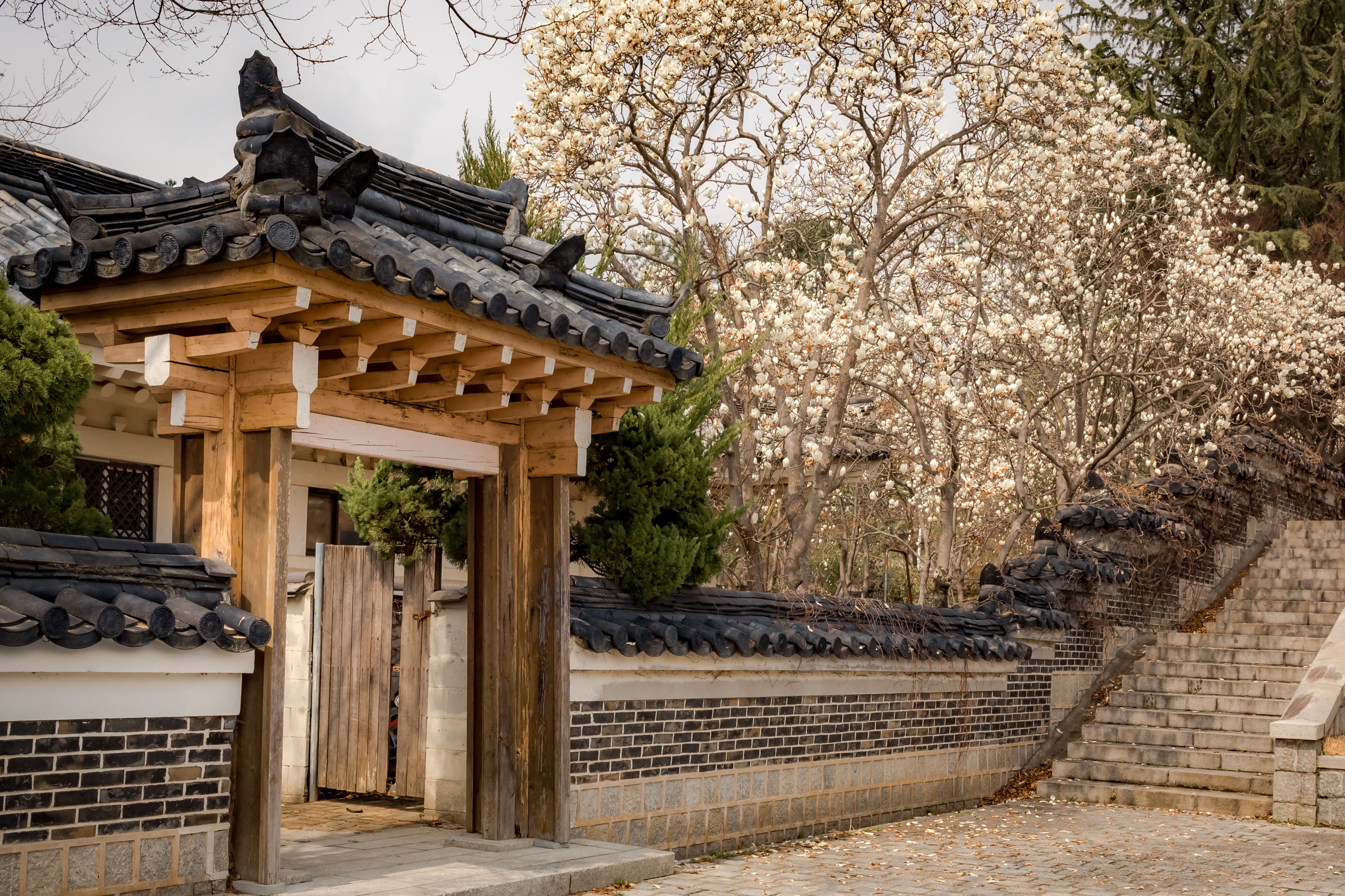 Corea del Sud in 10 giorni: tra tradizione e metropoli vibranti cover