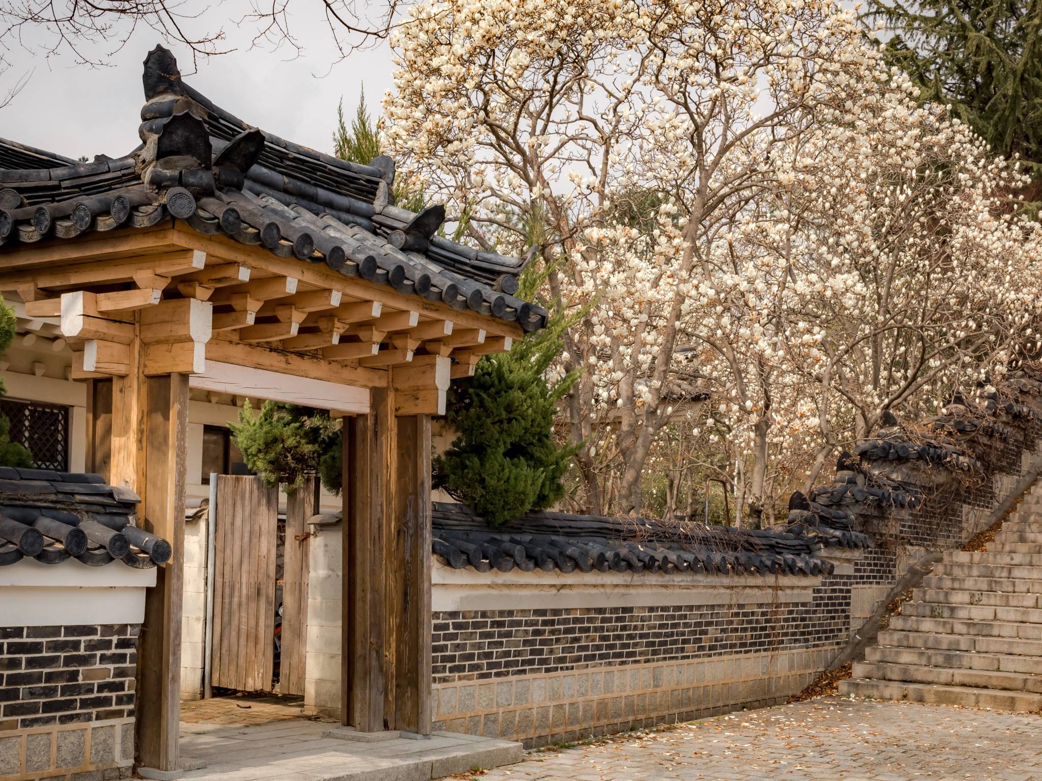 Corea del Sud in 10 giorni: tra tradizione e metropoli vibranti cover