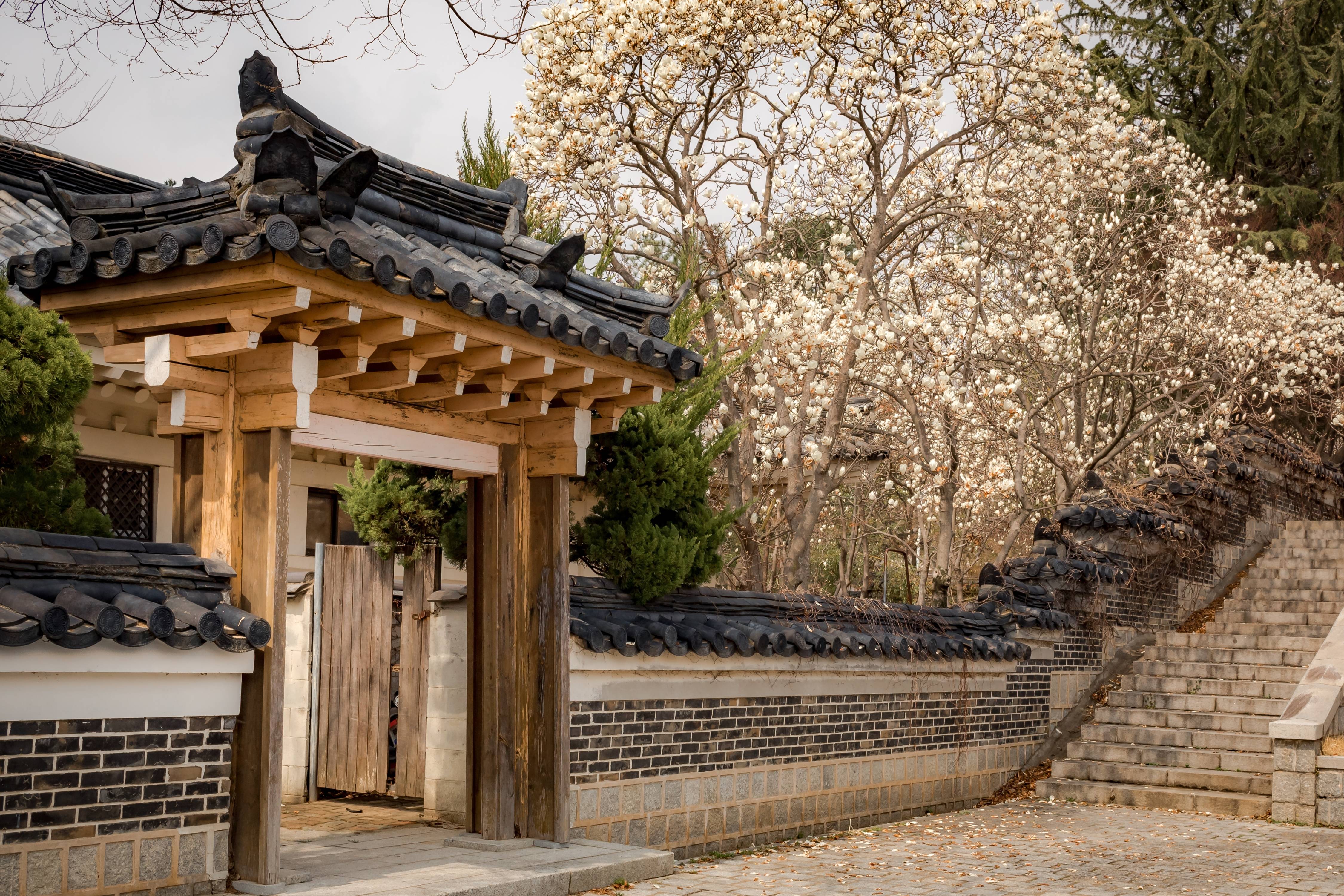 corea del sud