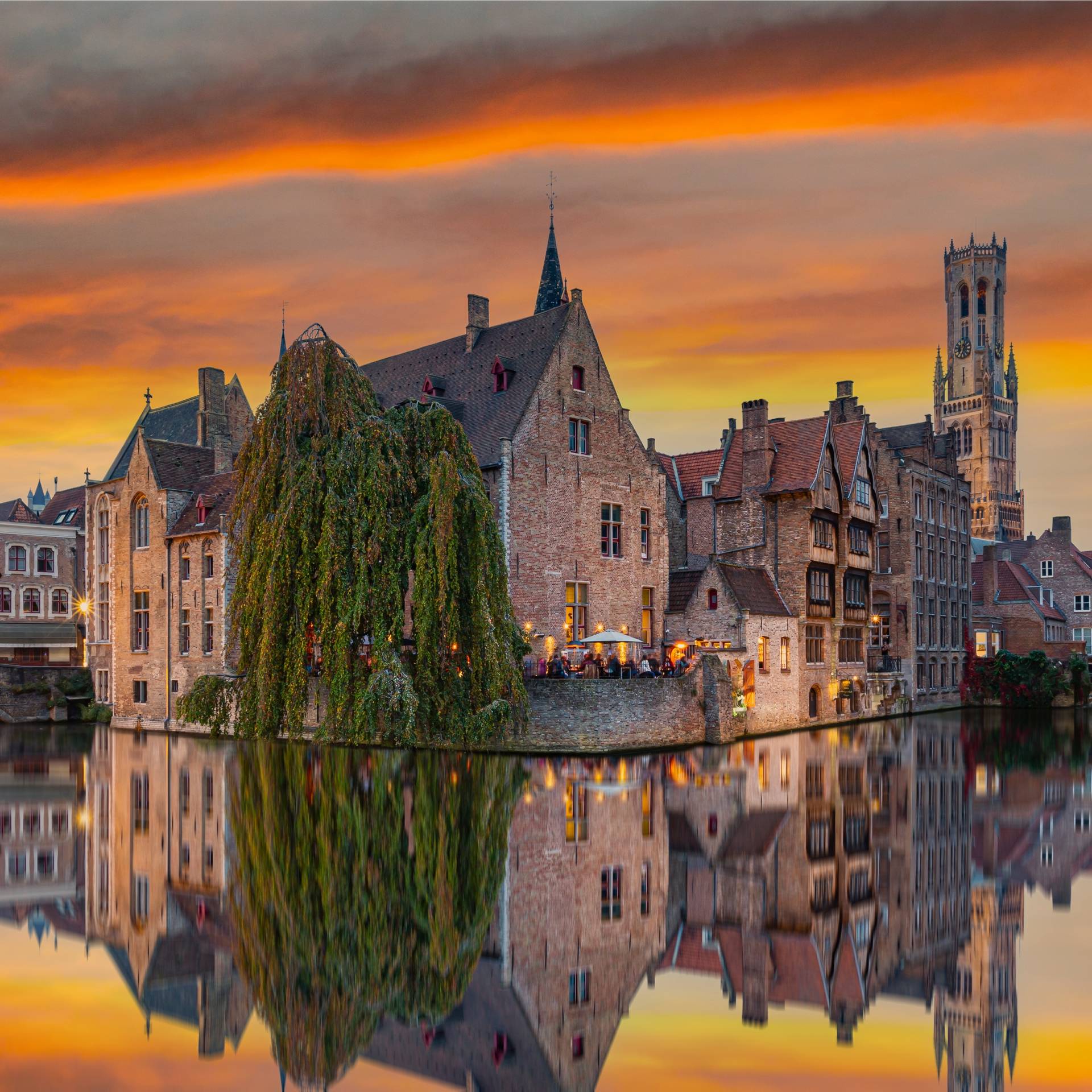 Gran tour Belgio e Olanda