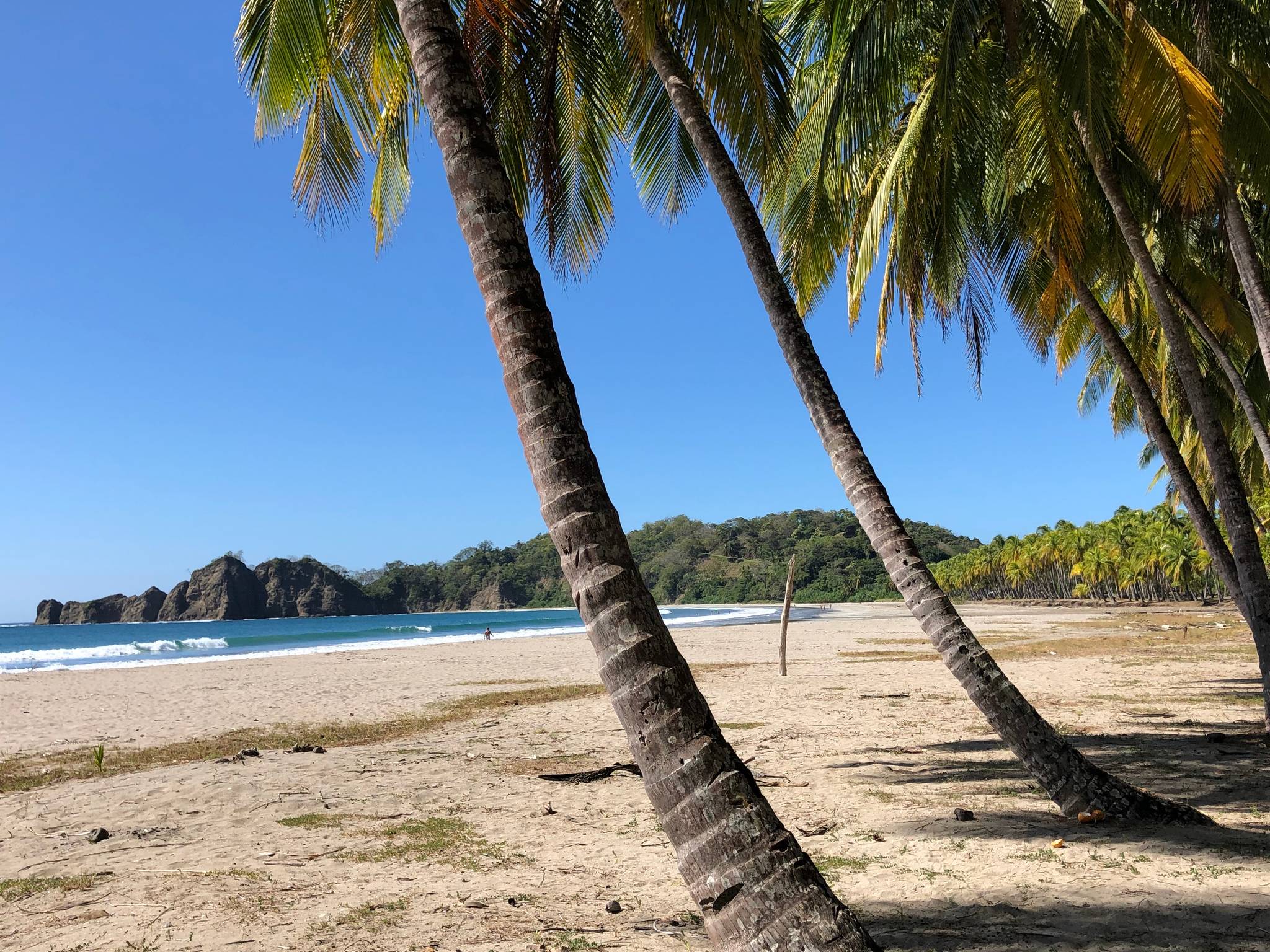 playa carrillo