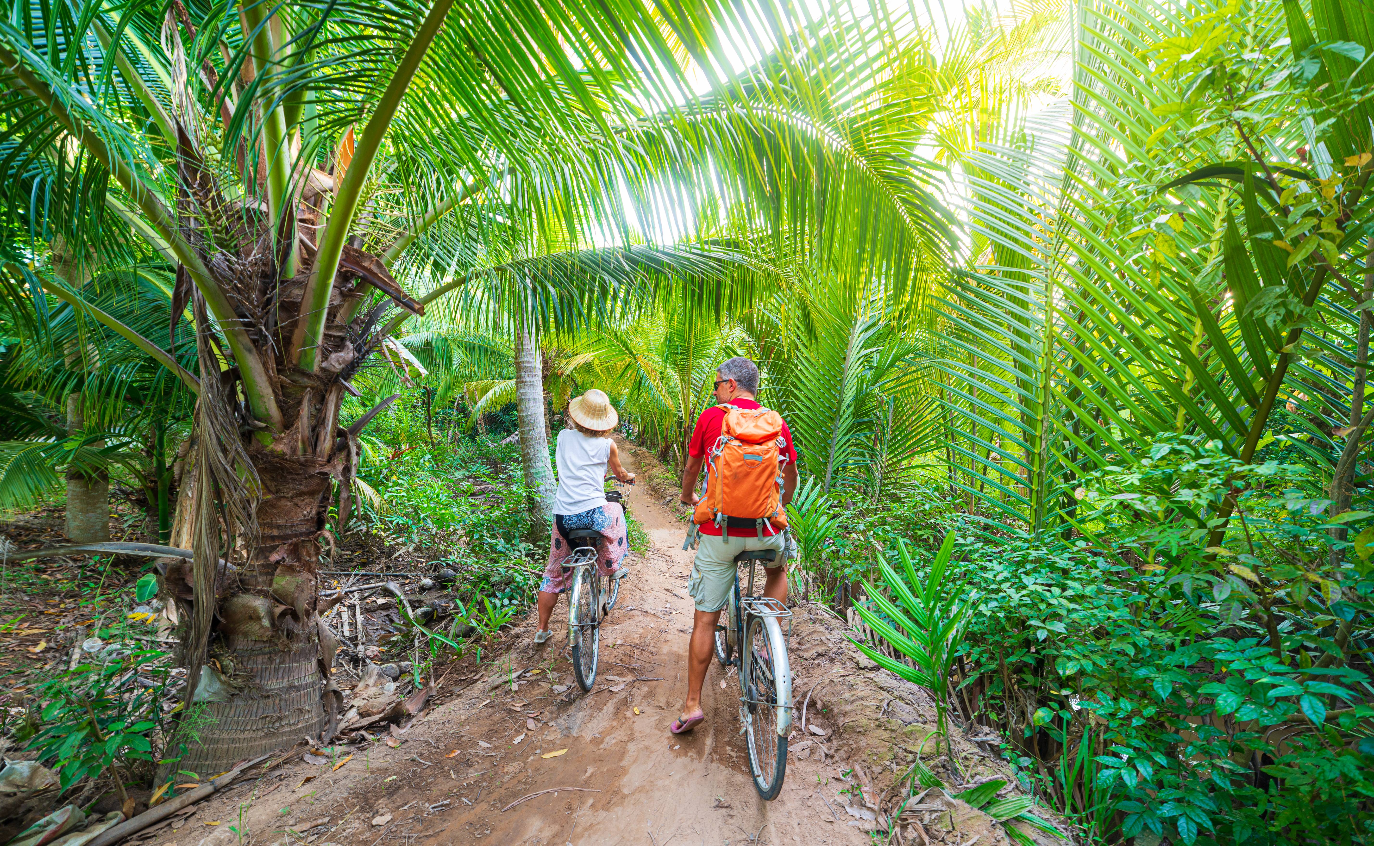 ciclisti nella foresta del vietnam