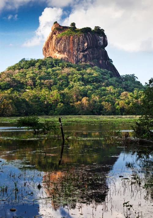 lion rock sri lanka