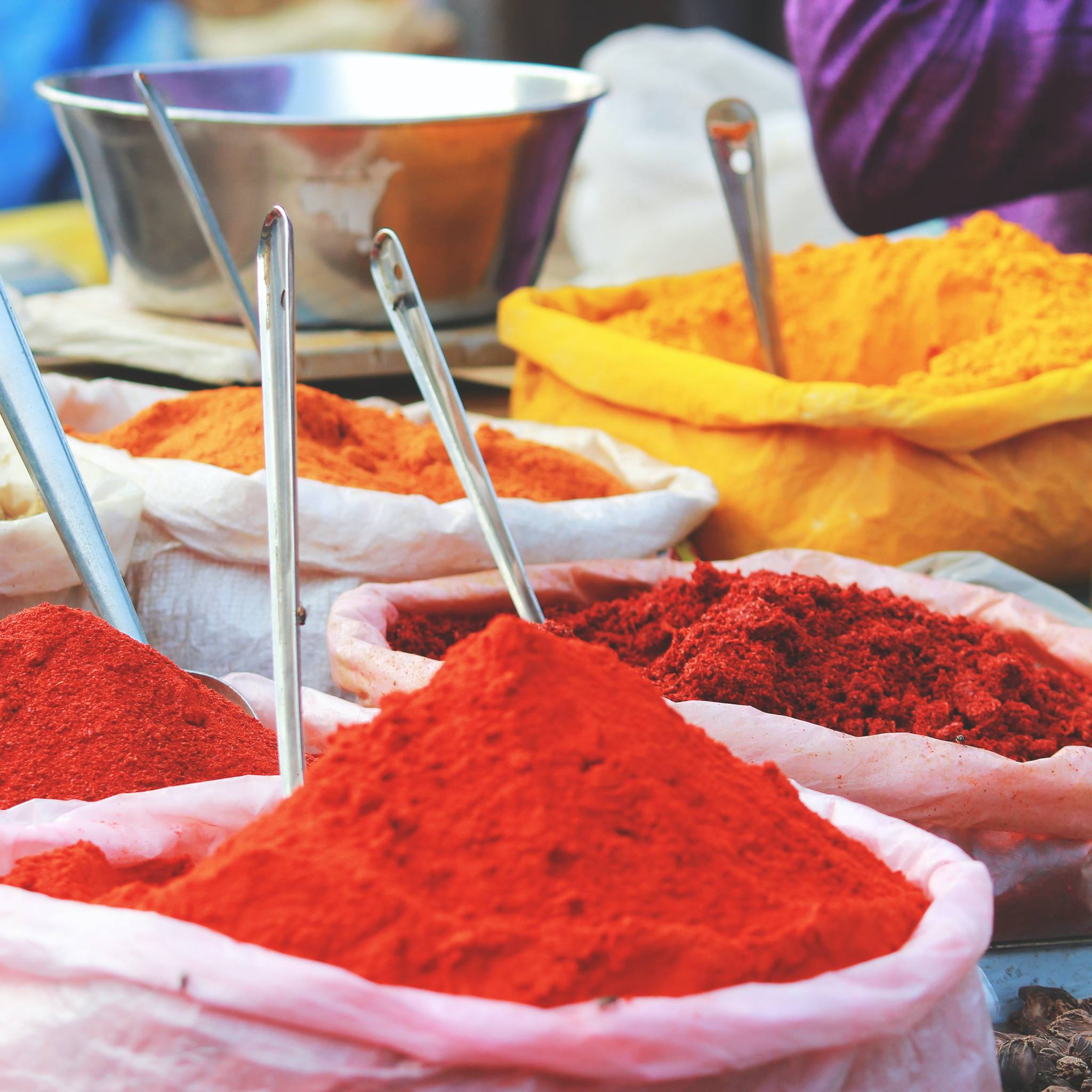 Tour dell'India 8 giorni: Delhi, Agra, Jaipur, Pushkar e Mandawa