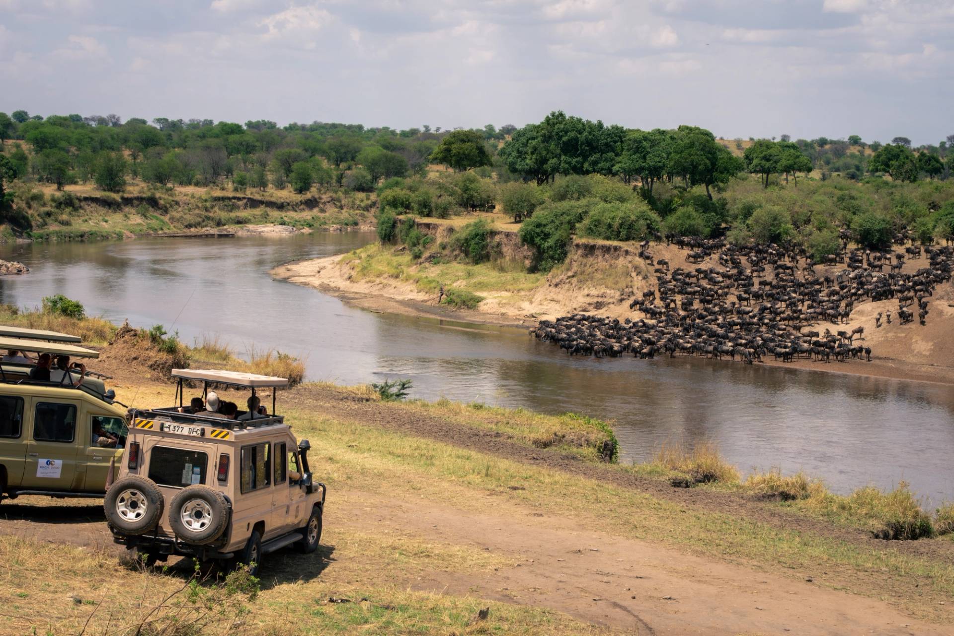 serengeti national park
