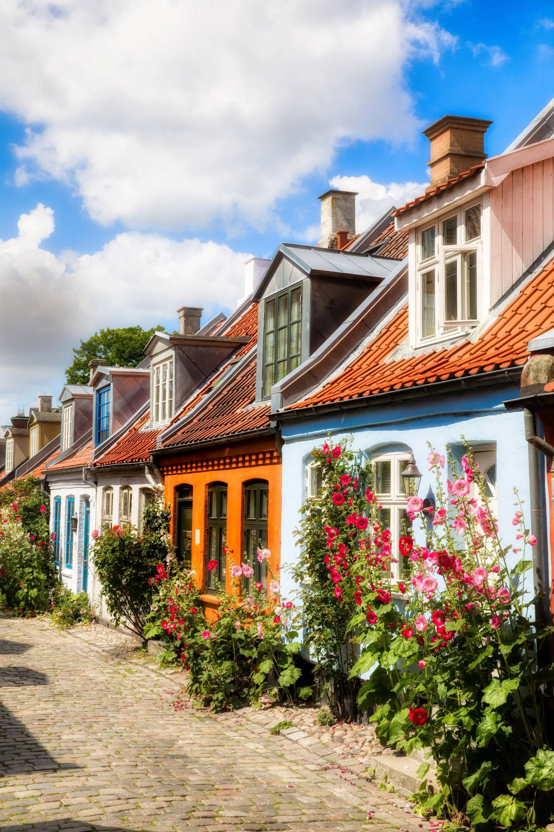 aarhus