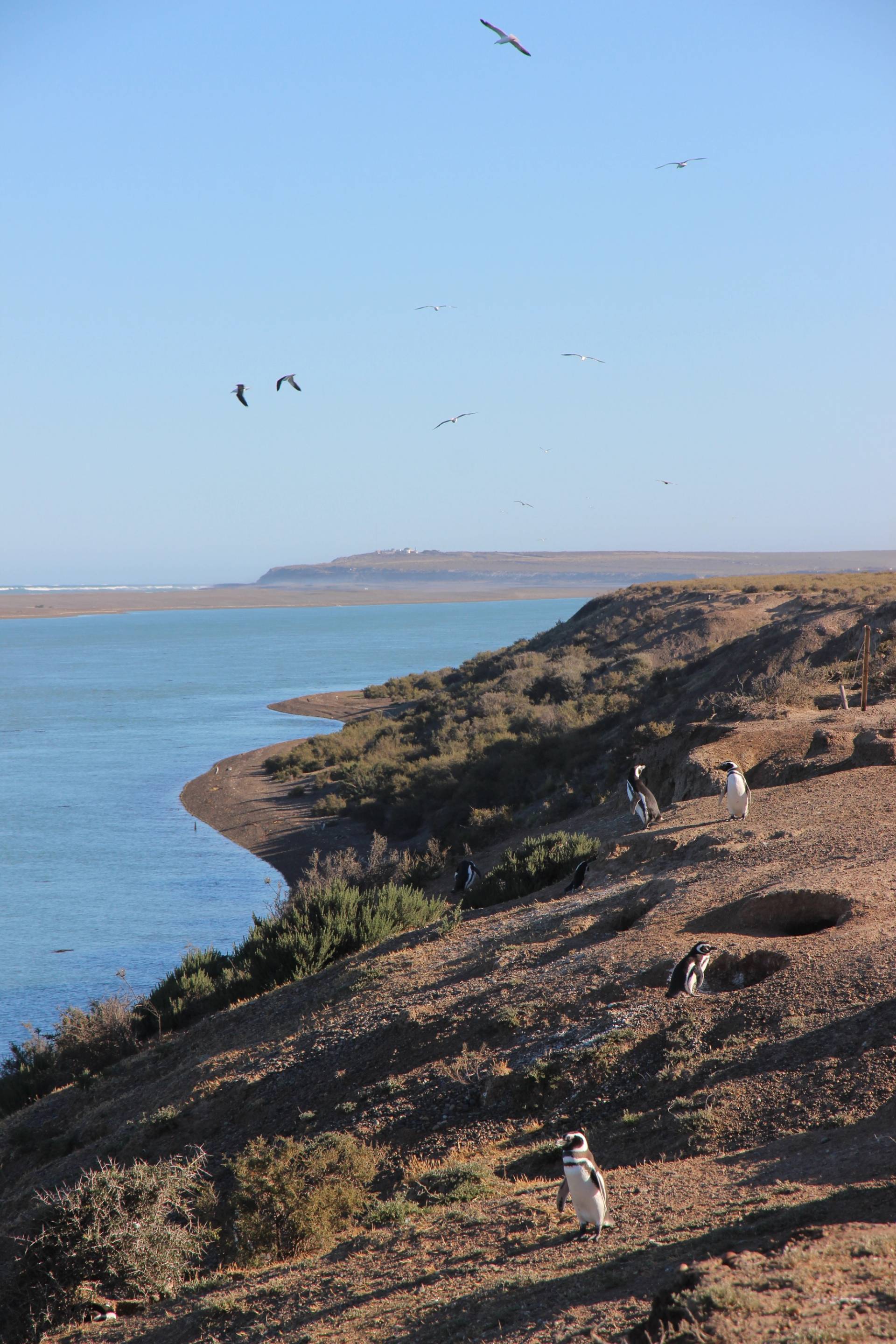 Trelew