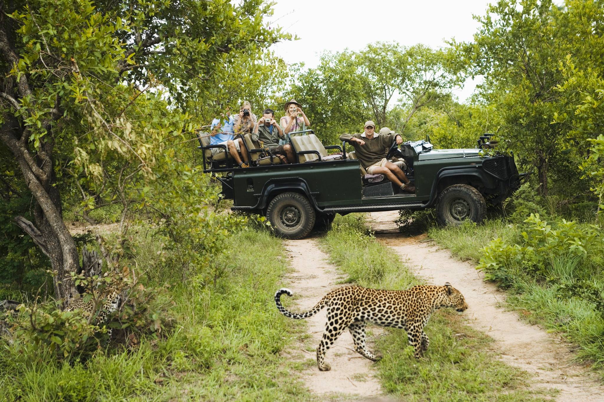 PARCO NAZIONALE MATOBO