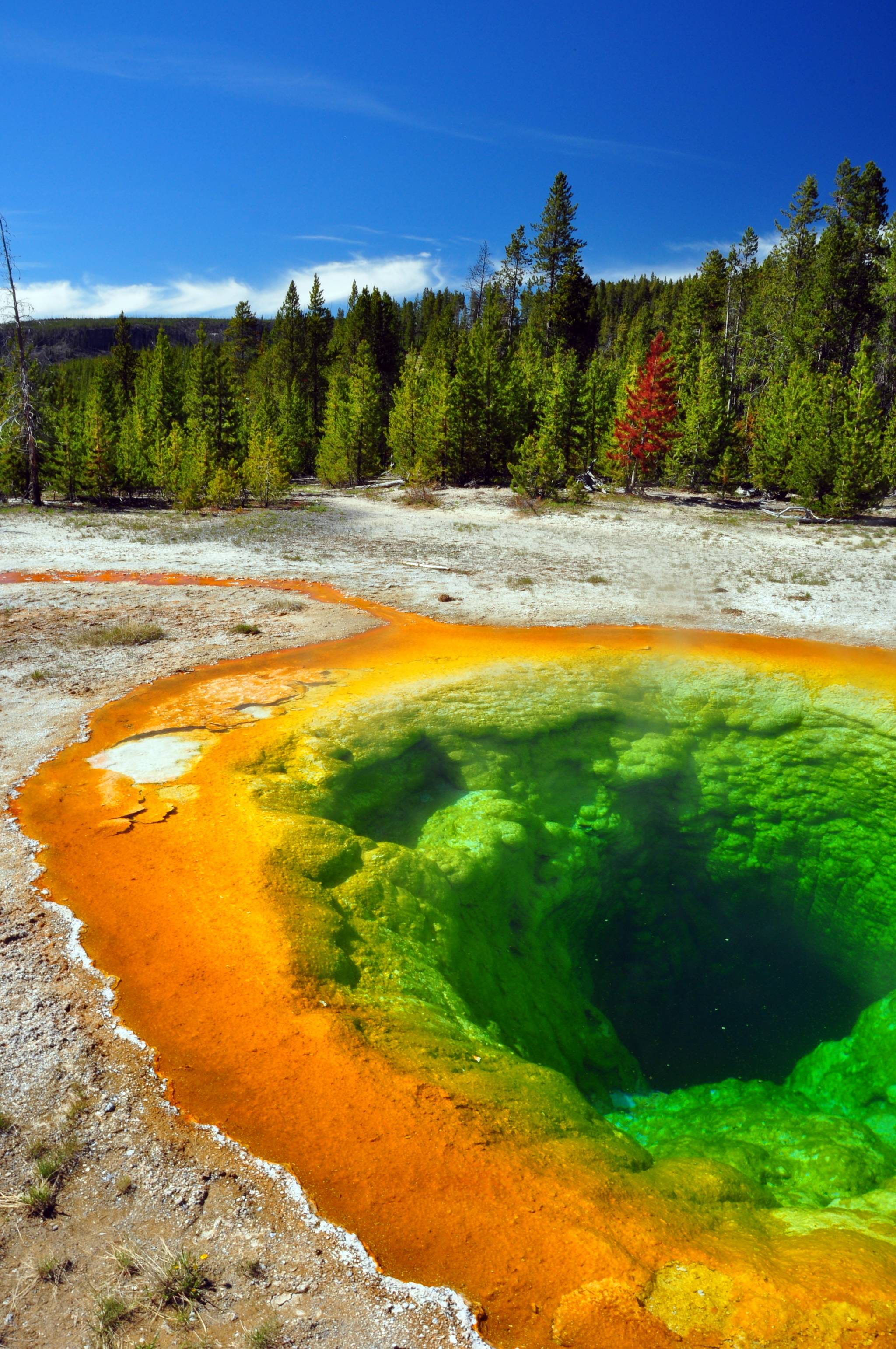 area geologica a yellowstone park