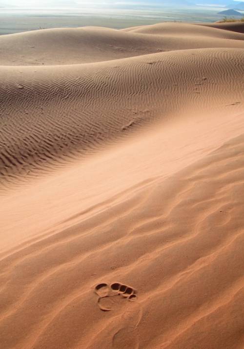 deserto del kalahari