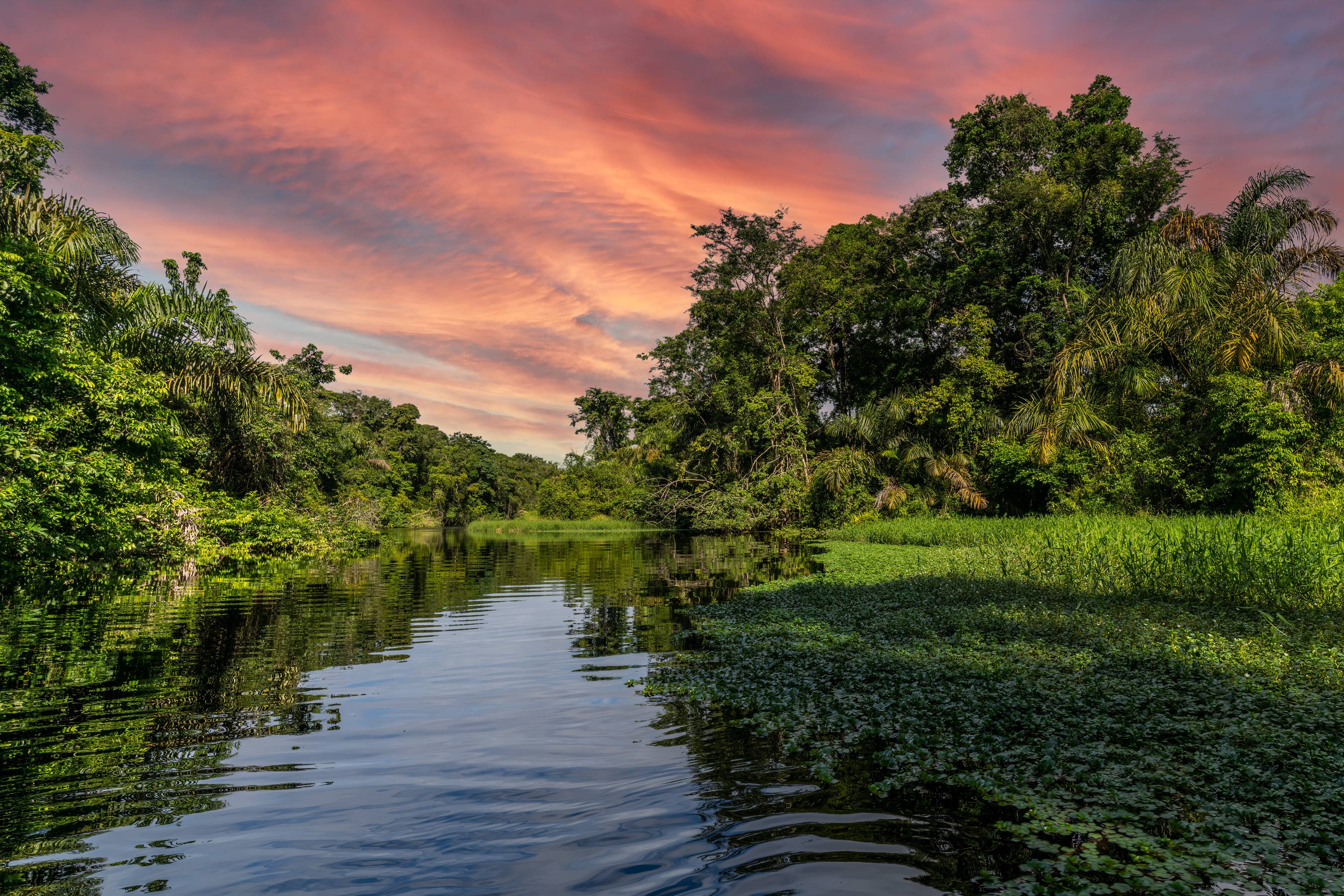 parco nazionale del tortuguero