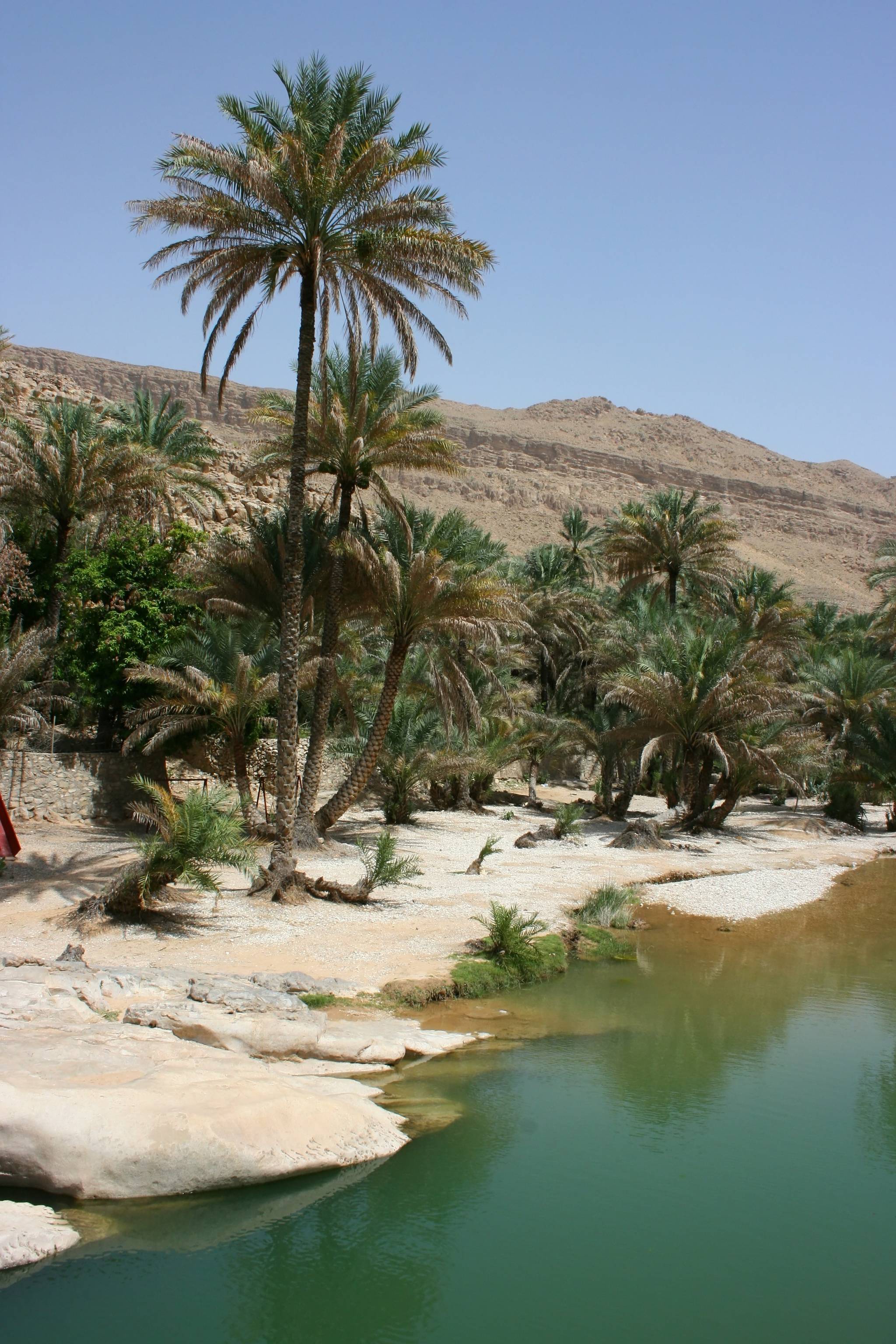 wadi bani khalid