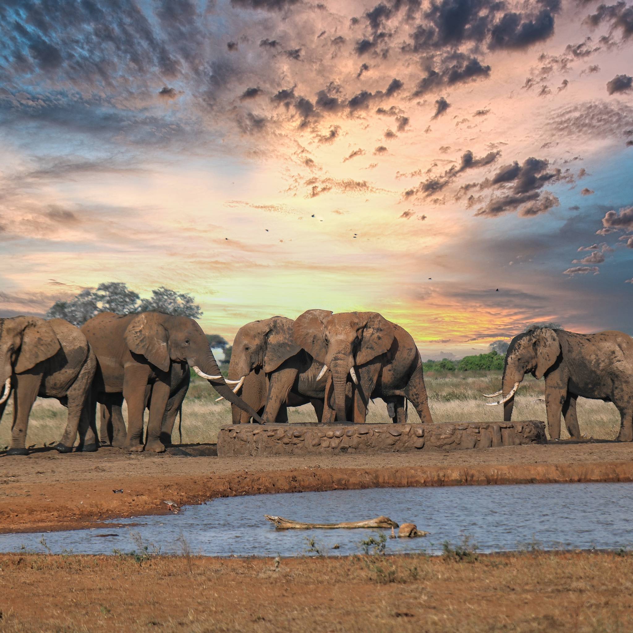 Altipiani Selvaggi in Tanzania