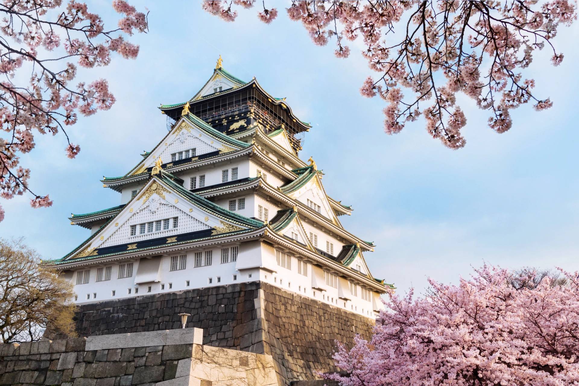 castello di osaka ciliegi giappone