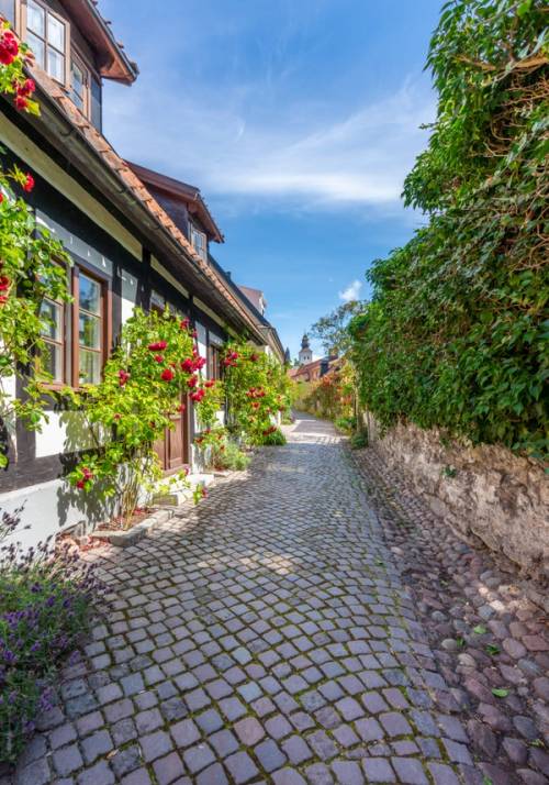 stradina fiori in svezia