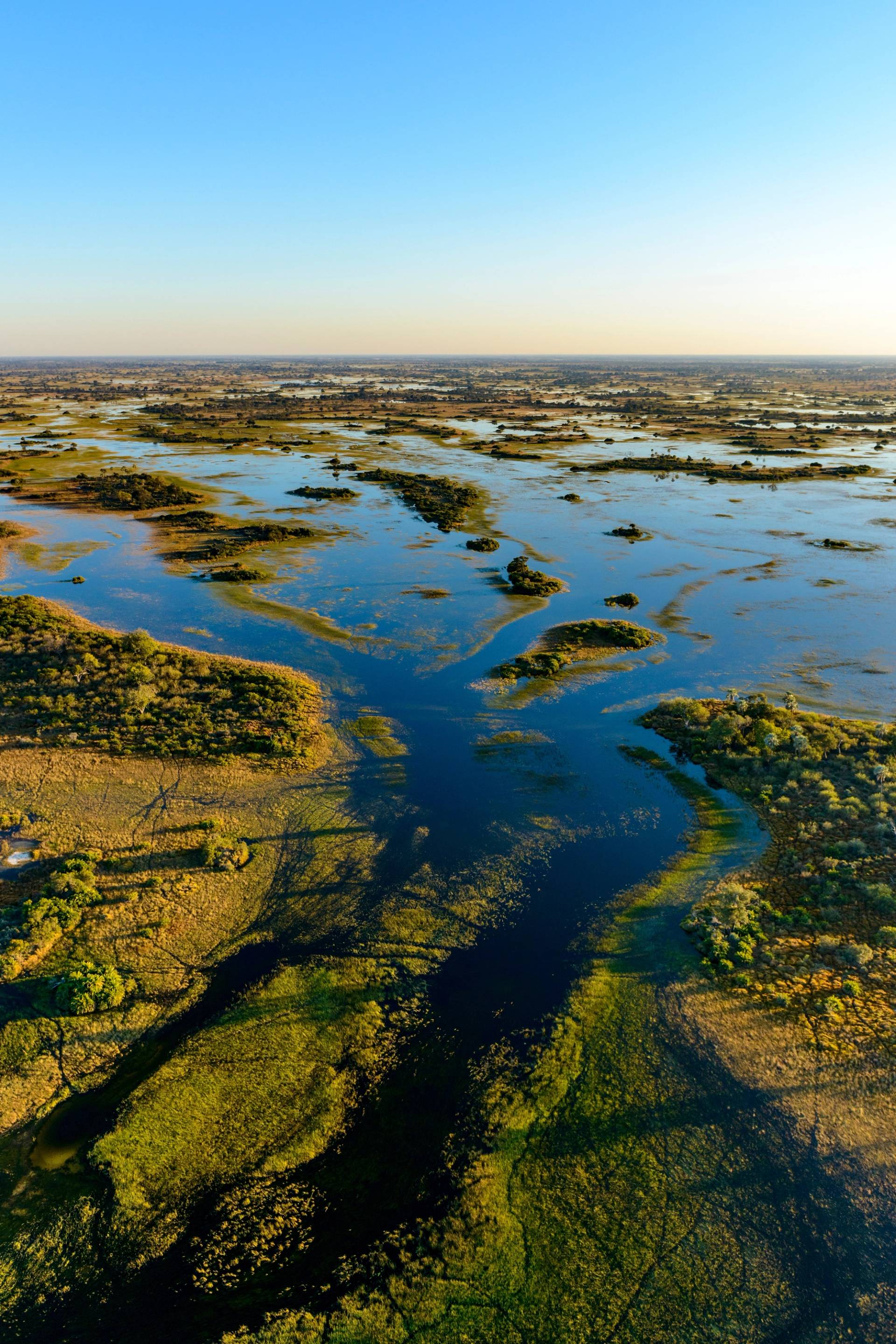 Okavango Delta nature